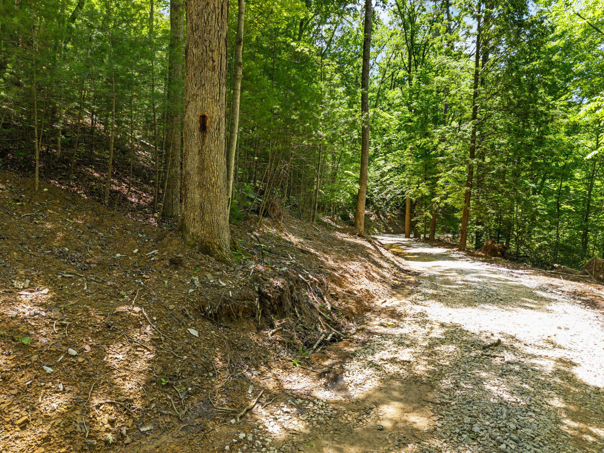 181 High Ridge Road Property Photo 2