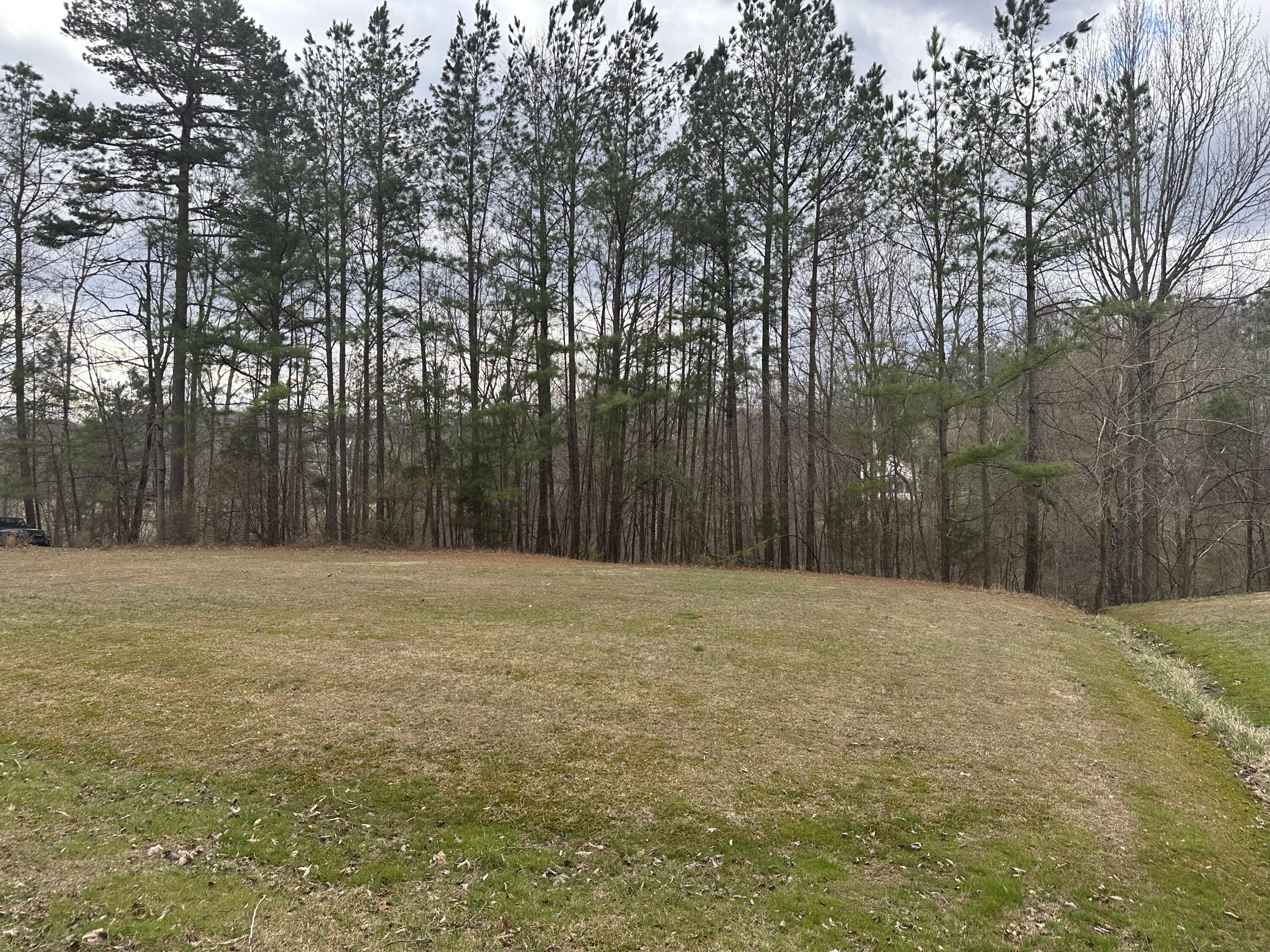 0 Colony Road Lot # 2/ Section C Property Photo 2