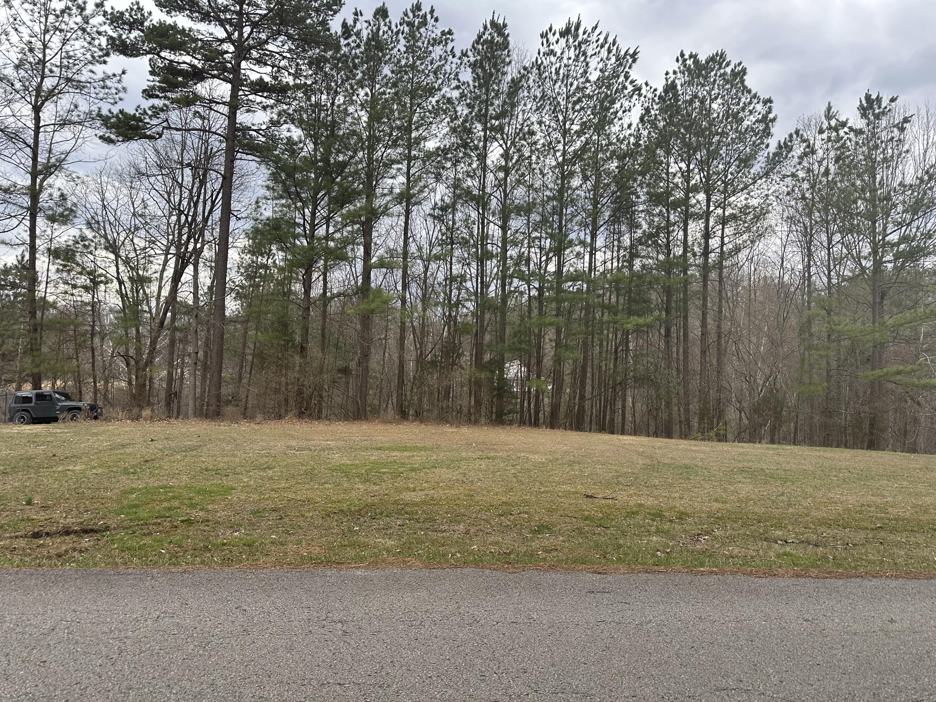 0 Colony Road Lot # 2/ Section C Property Photo 3