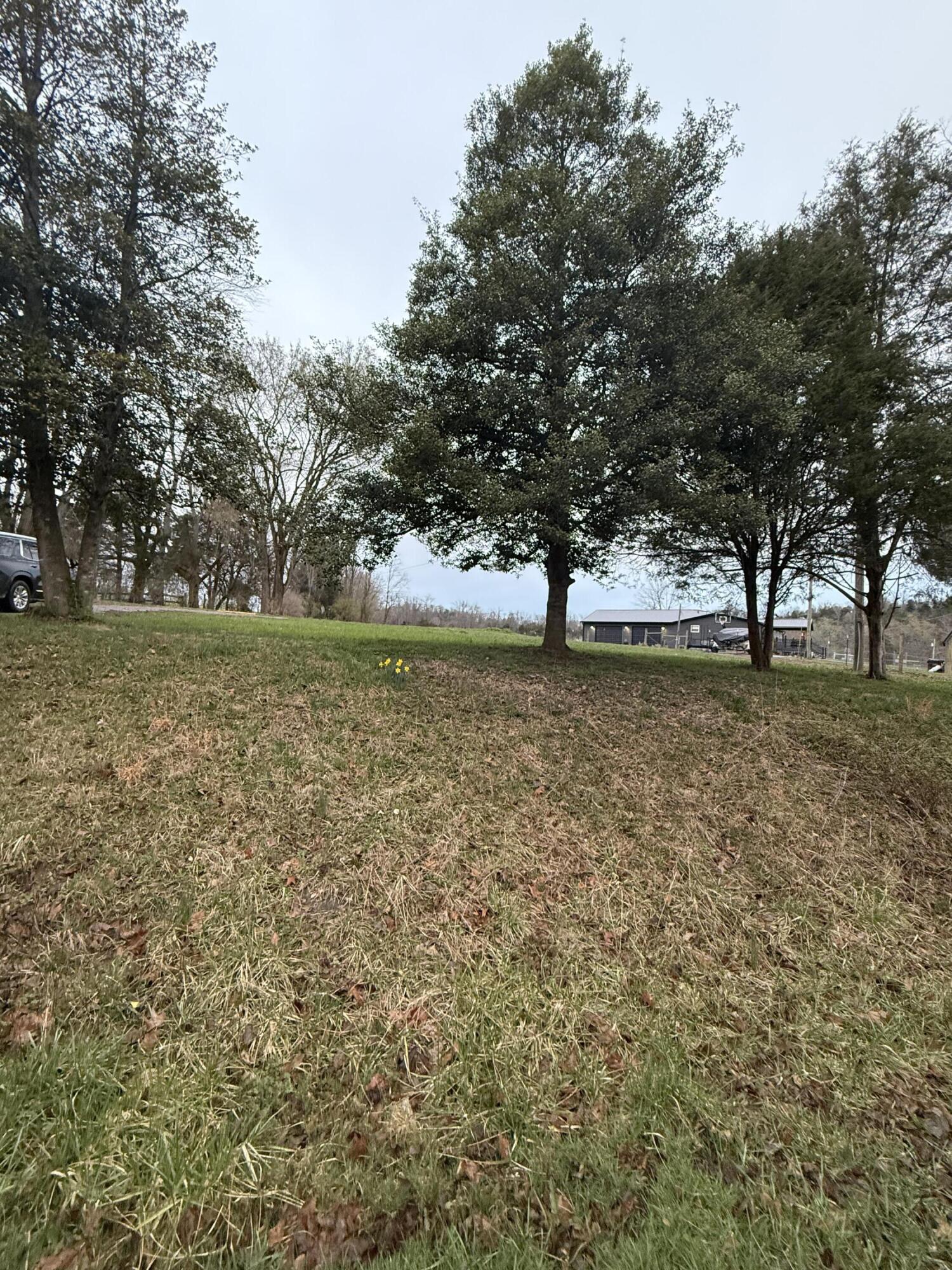 1735 Clifton Road Property Photo 2