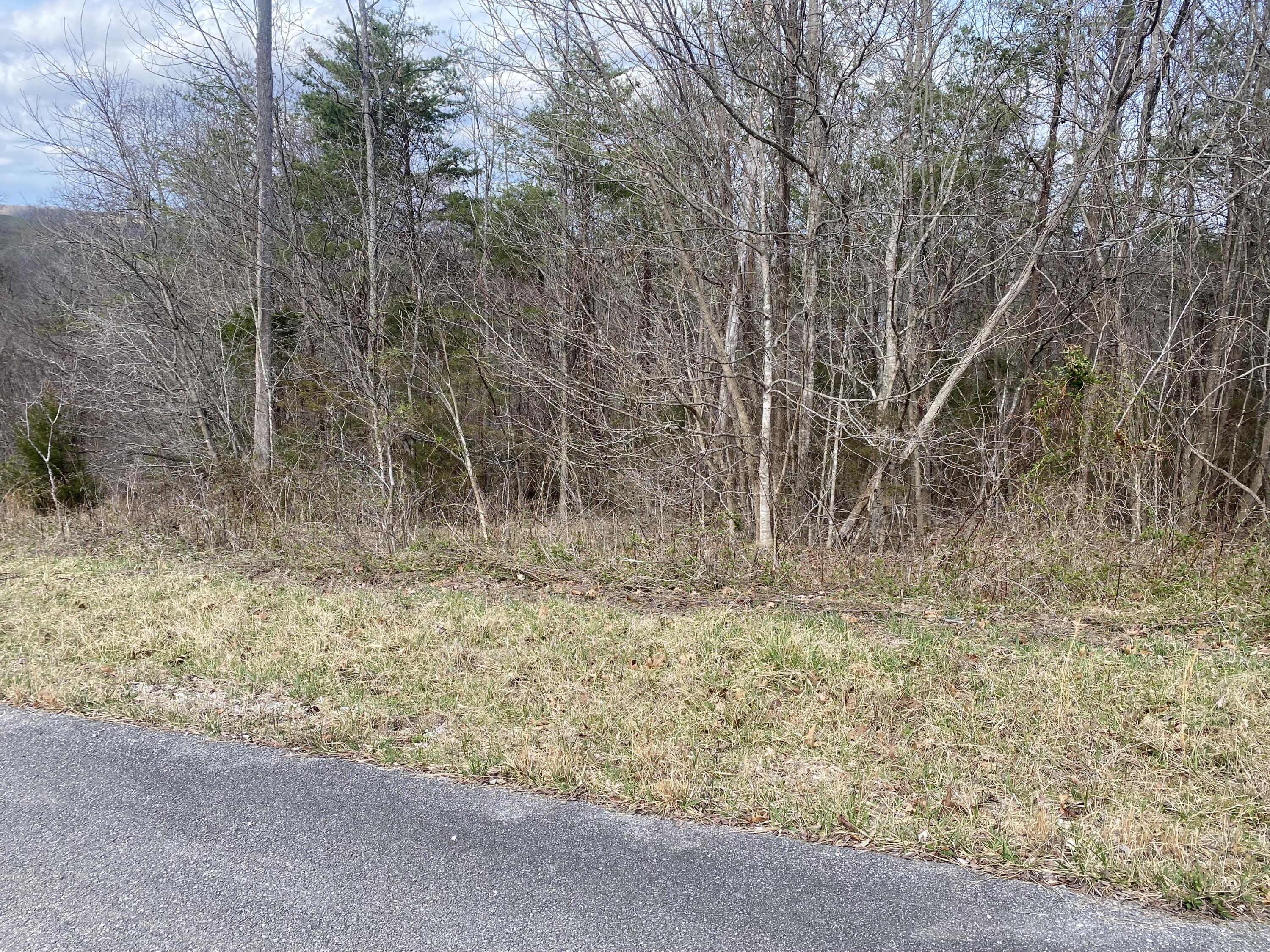 105 Silver Mist Property Photo 4