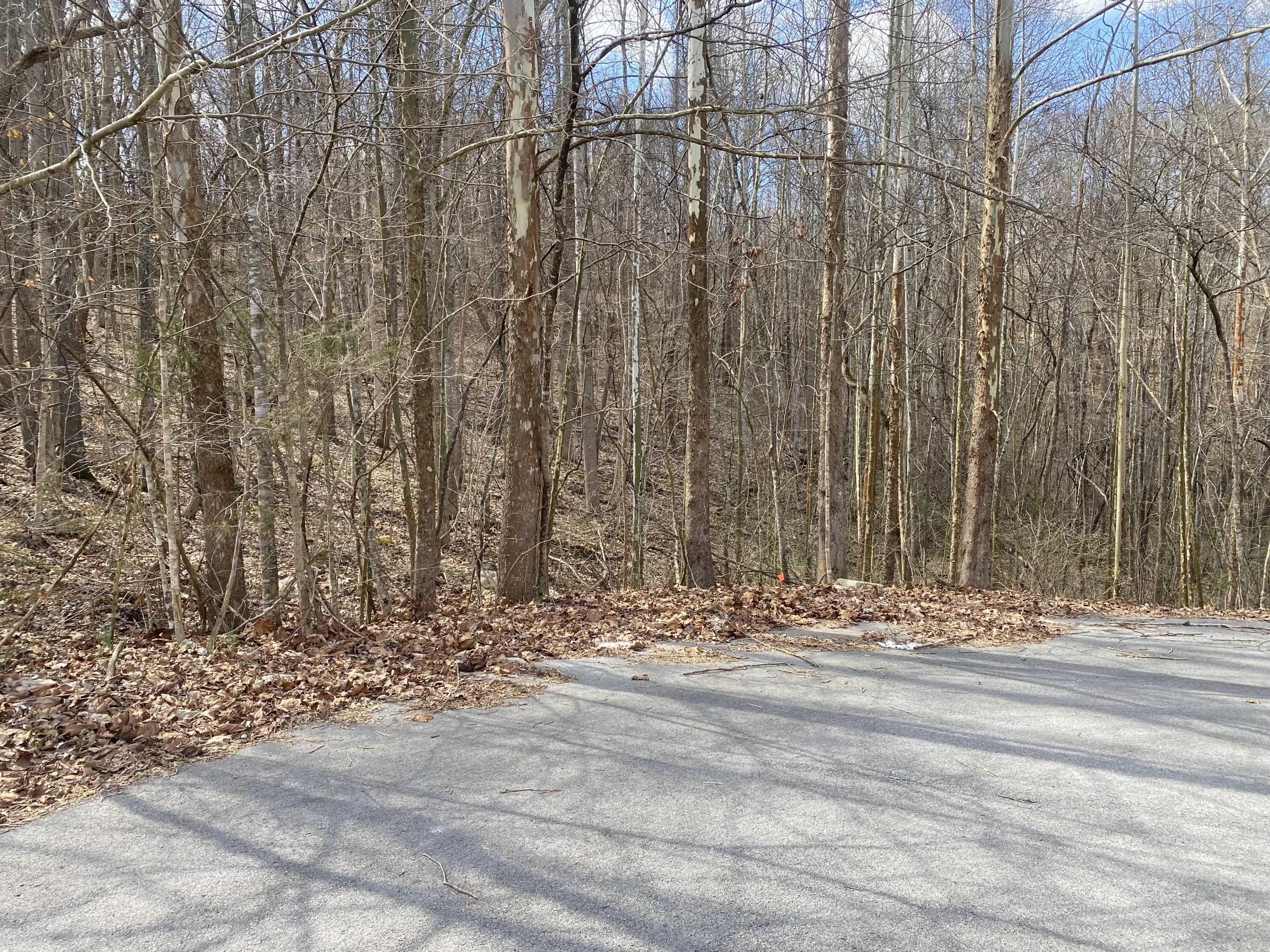 80 Warren Lane Property Photo 5
