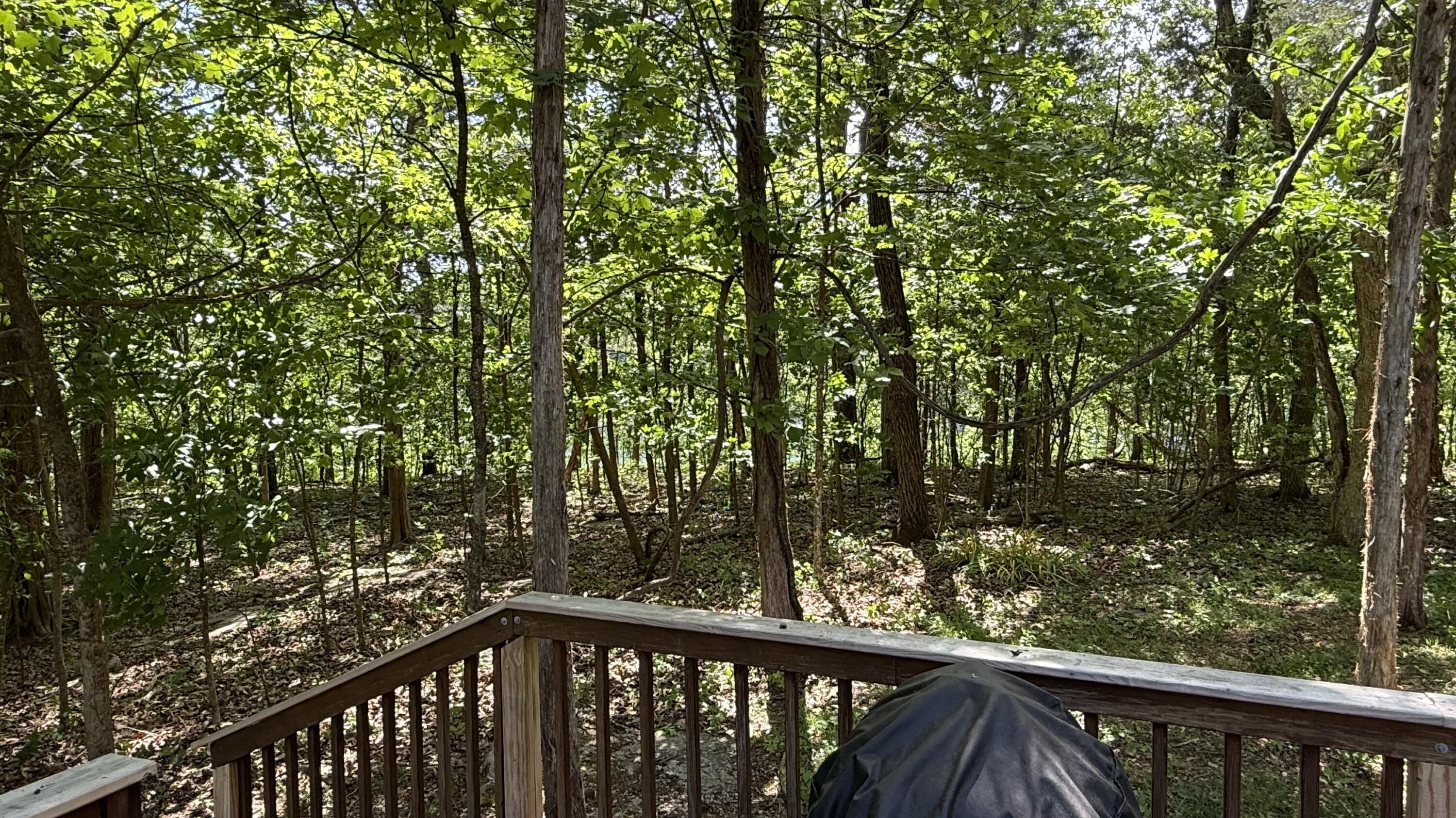 65 S Lake Drive Property Photo 5