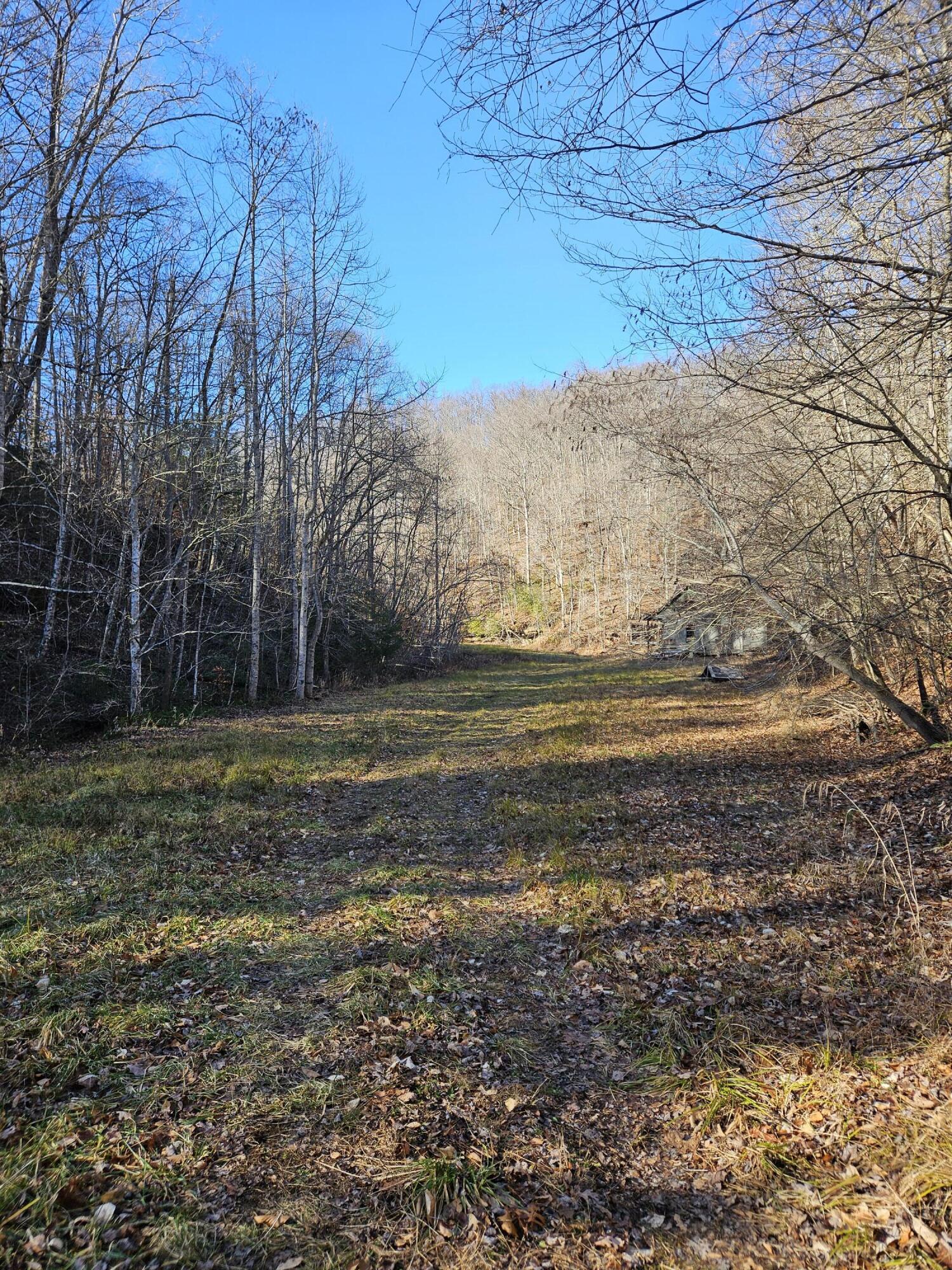 0 Lick Fork Road Property Photo 1
