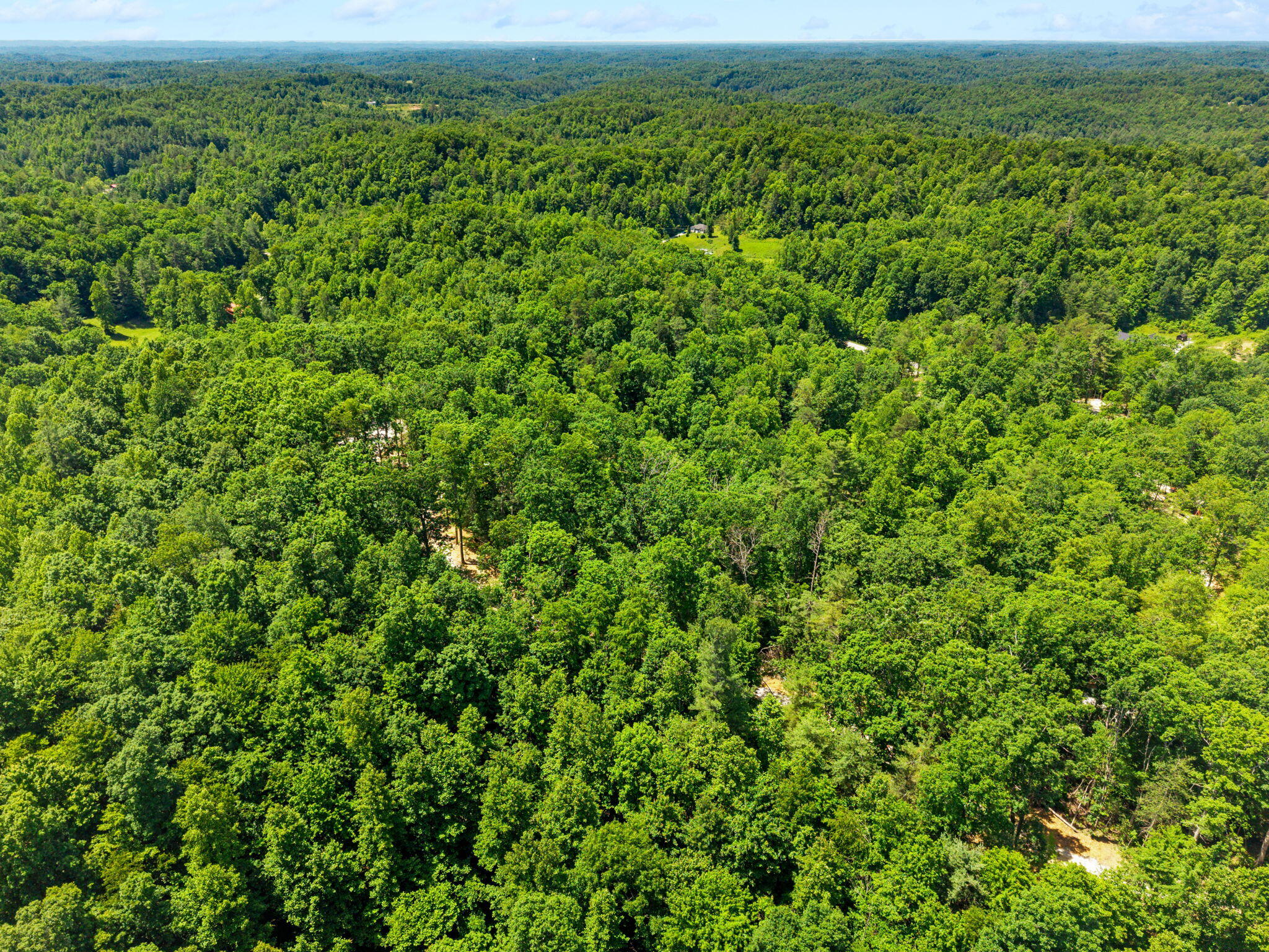 201 High Ridge Road Property Photo 5
