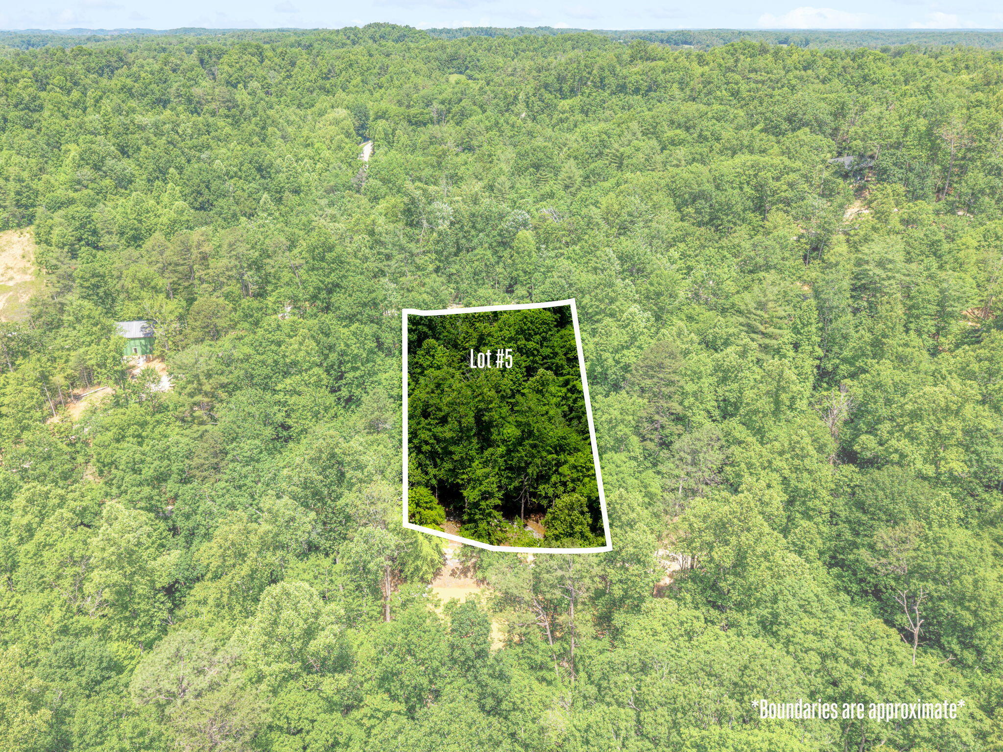 55 Low Ridge Road Property Photo 4