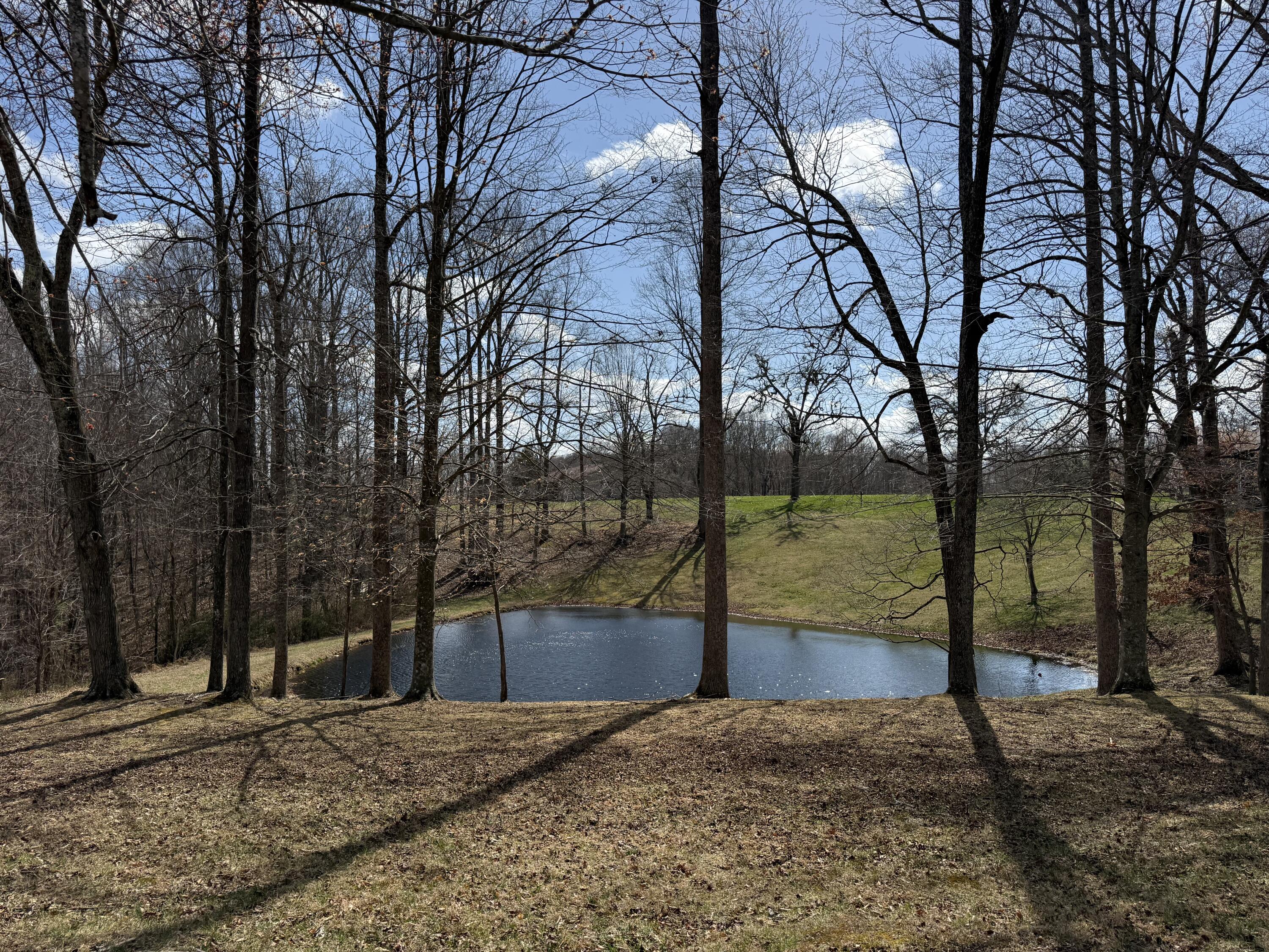 120 Ivy Drive Property Photo 40