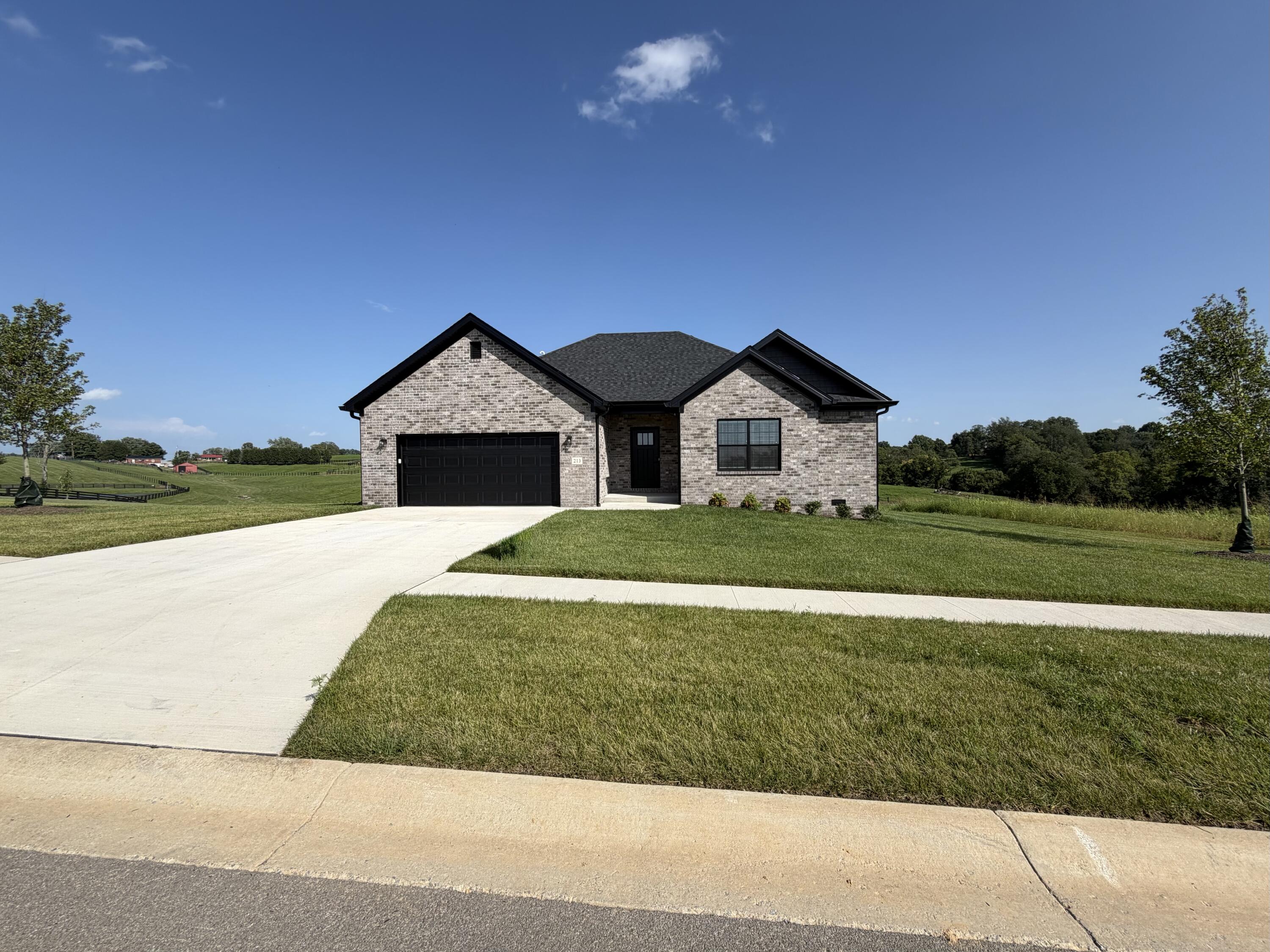 213 Carhartt Drive Property Photo 1