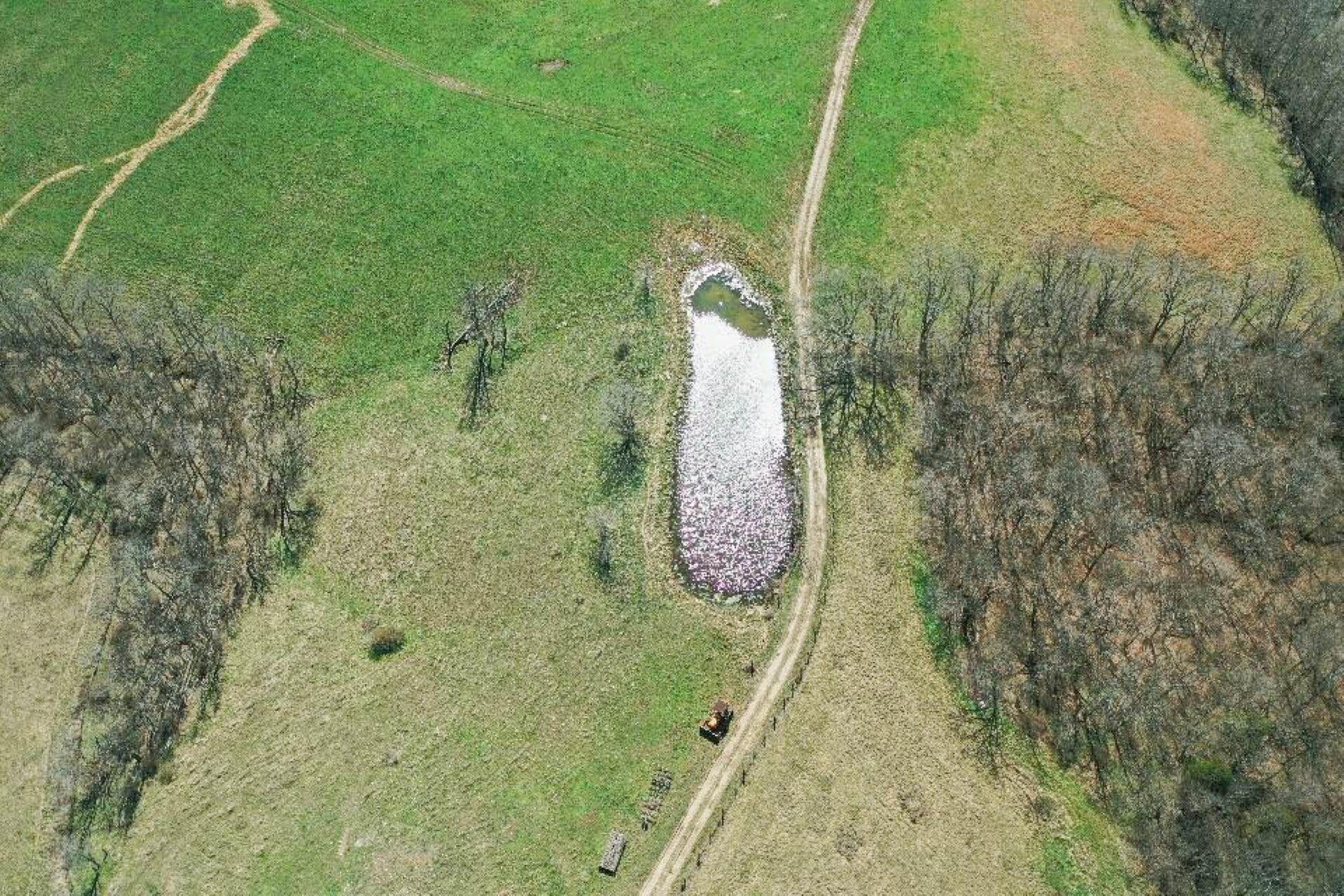 1300 Lower Concord Road Property Photo 14