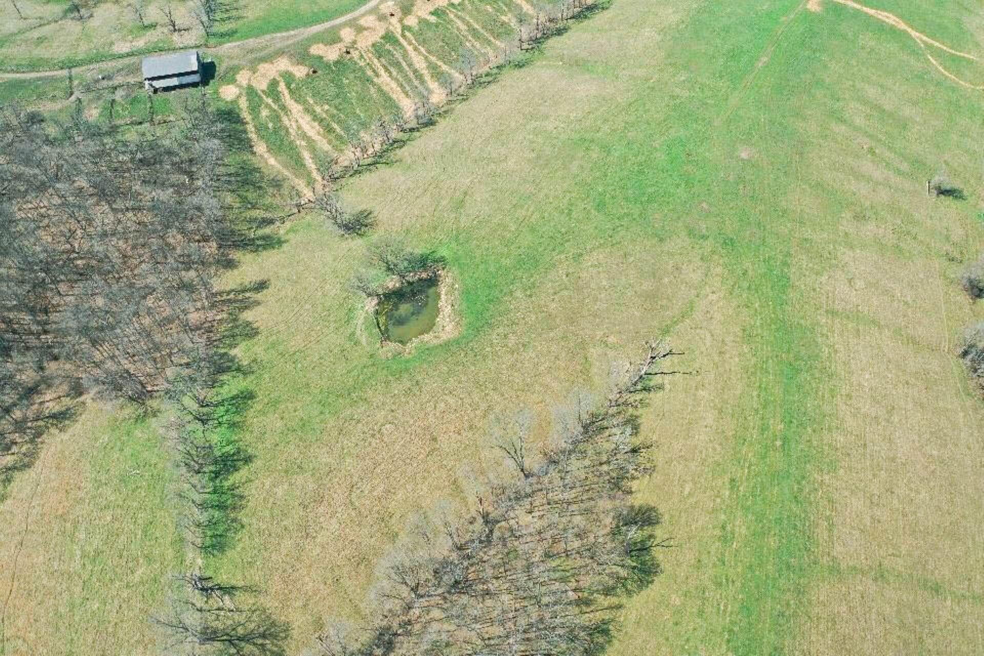1300 Lower Concord Road Property Photo 16