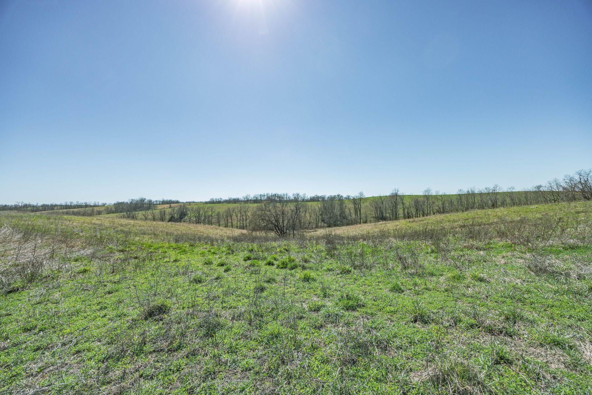 1300 Lower Concord Road Property Photo 26