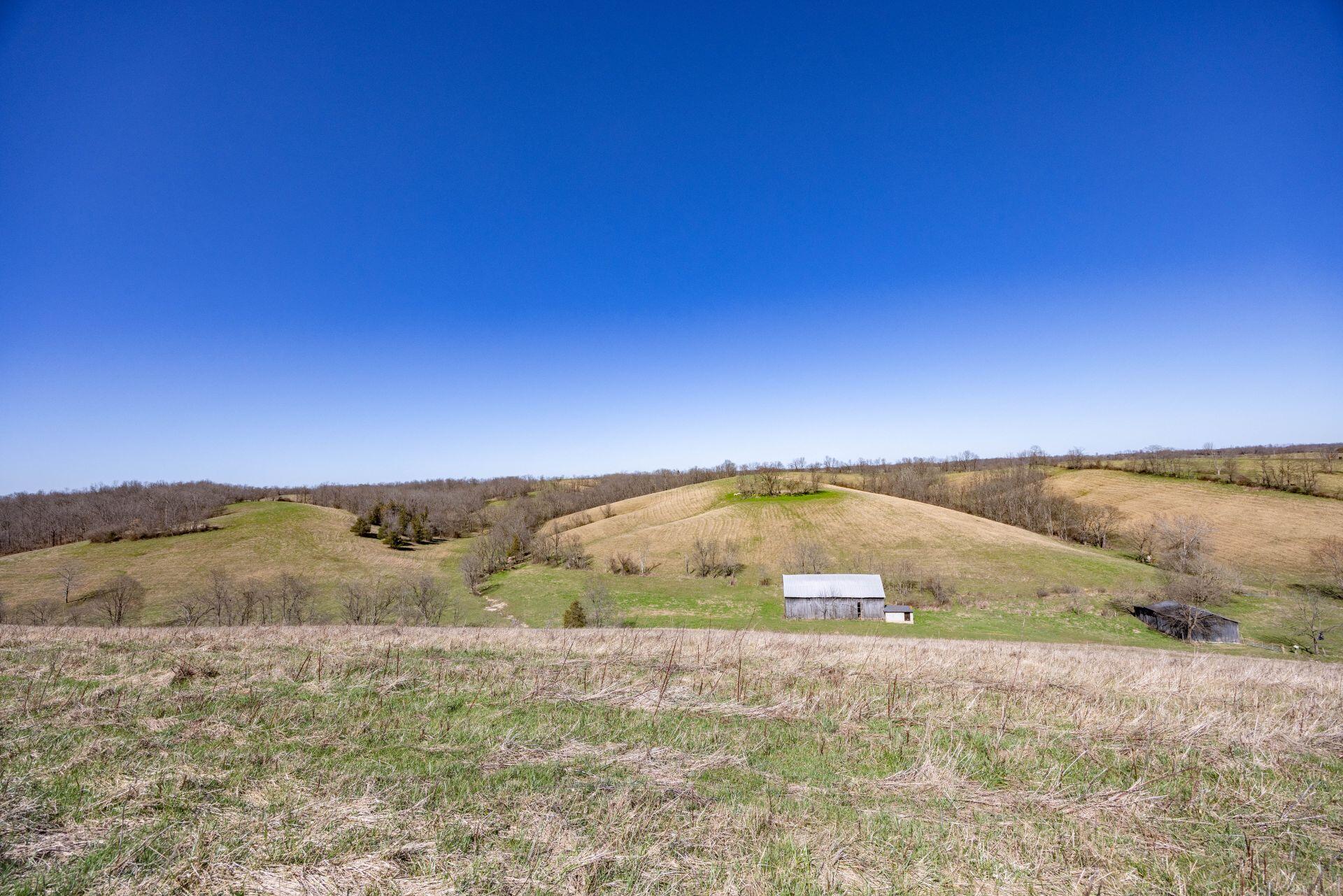1300 Lower Concord Road Property Photo 34