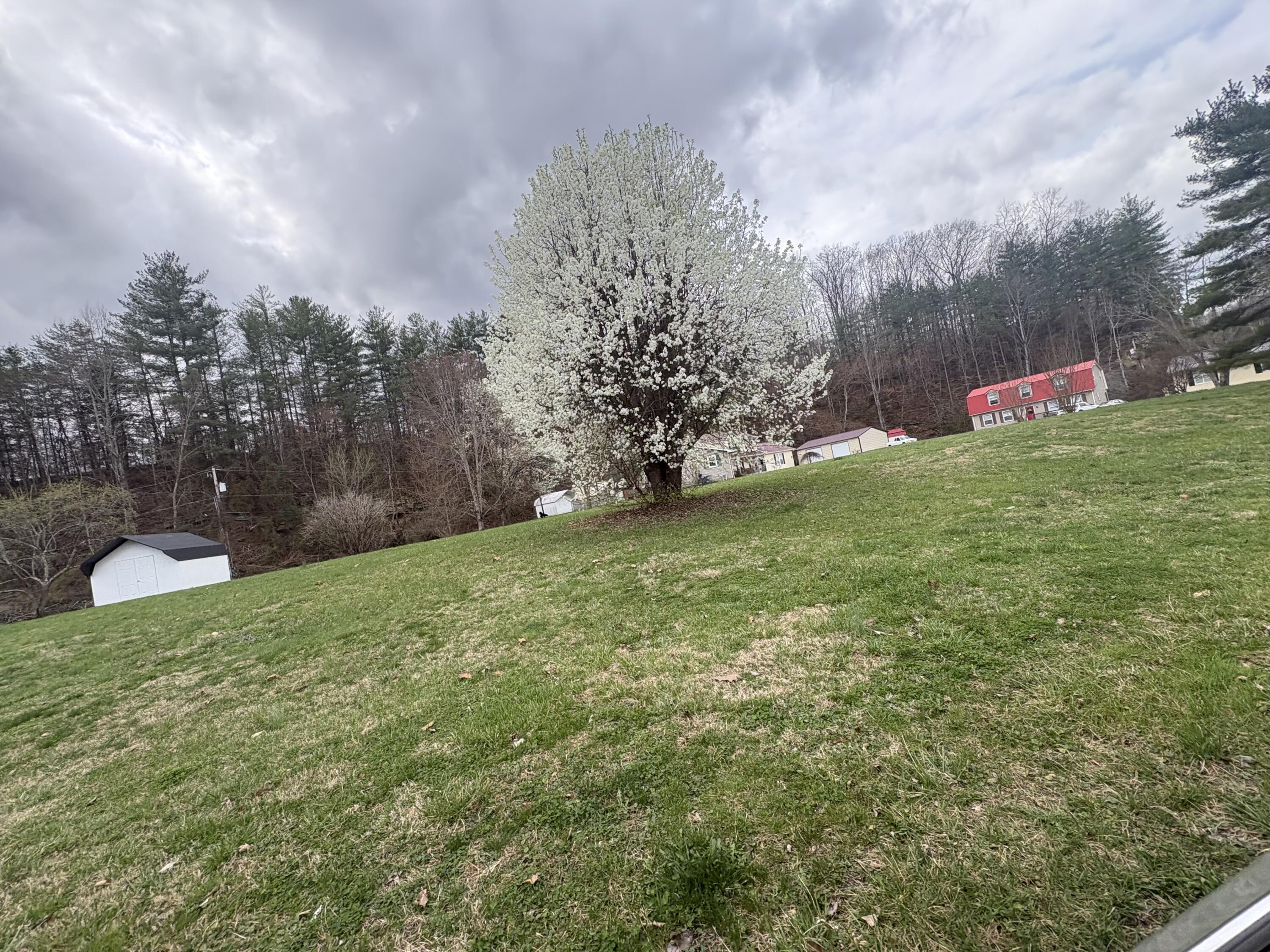 Lot 33 Stephen Trace Road Property Photo 1