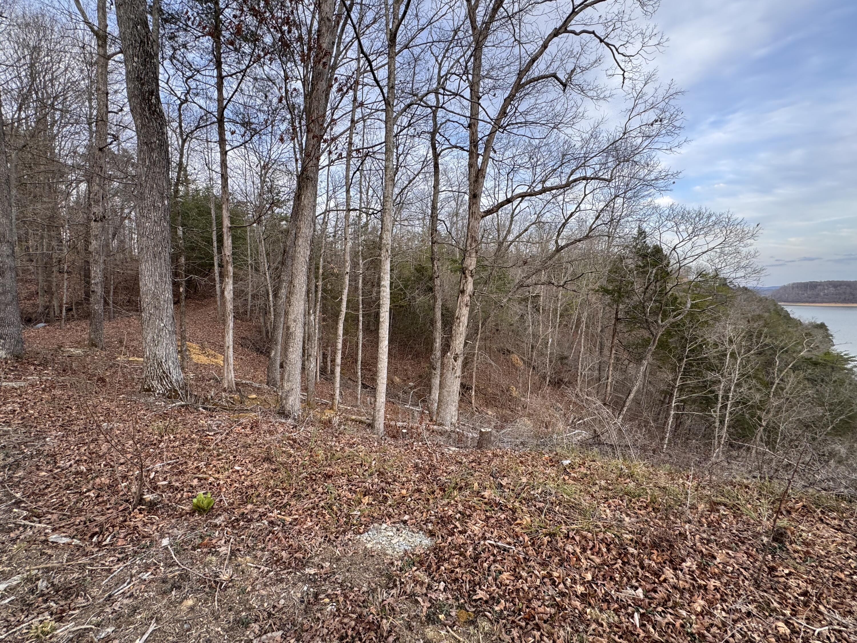 27 Lazy Trail Road Property Photo 4
