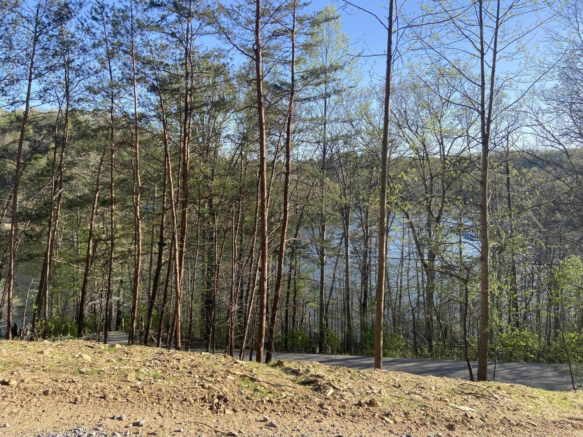 974 Cliffs Edge Road Property Photo 1