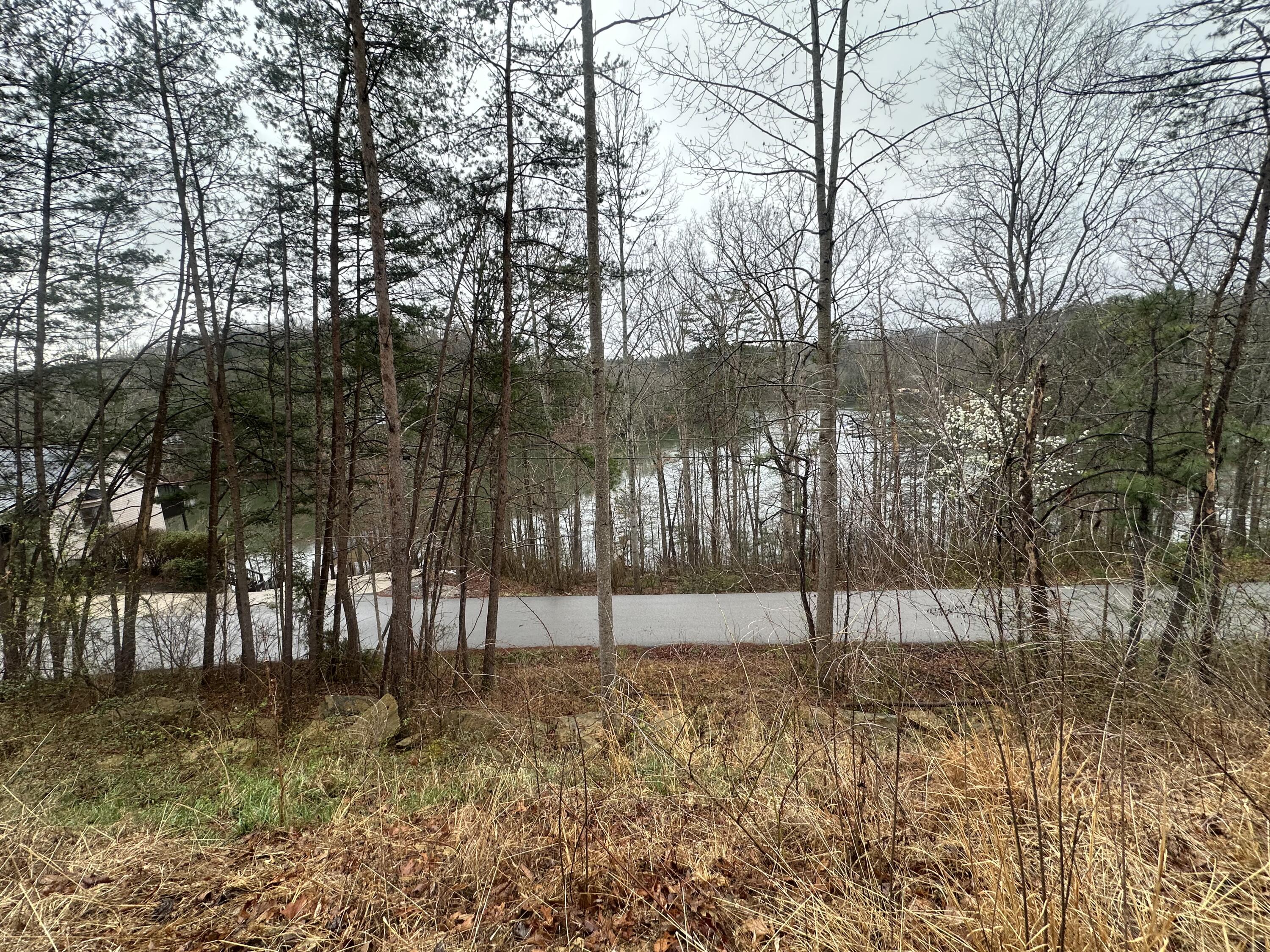 974 Cliffs Edge Road Property Photo 9