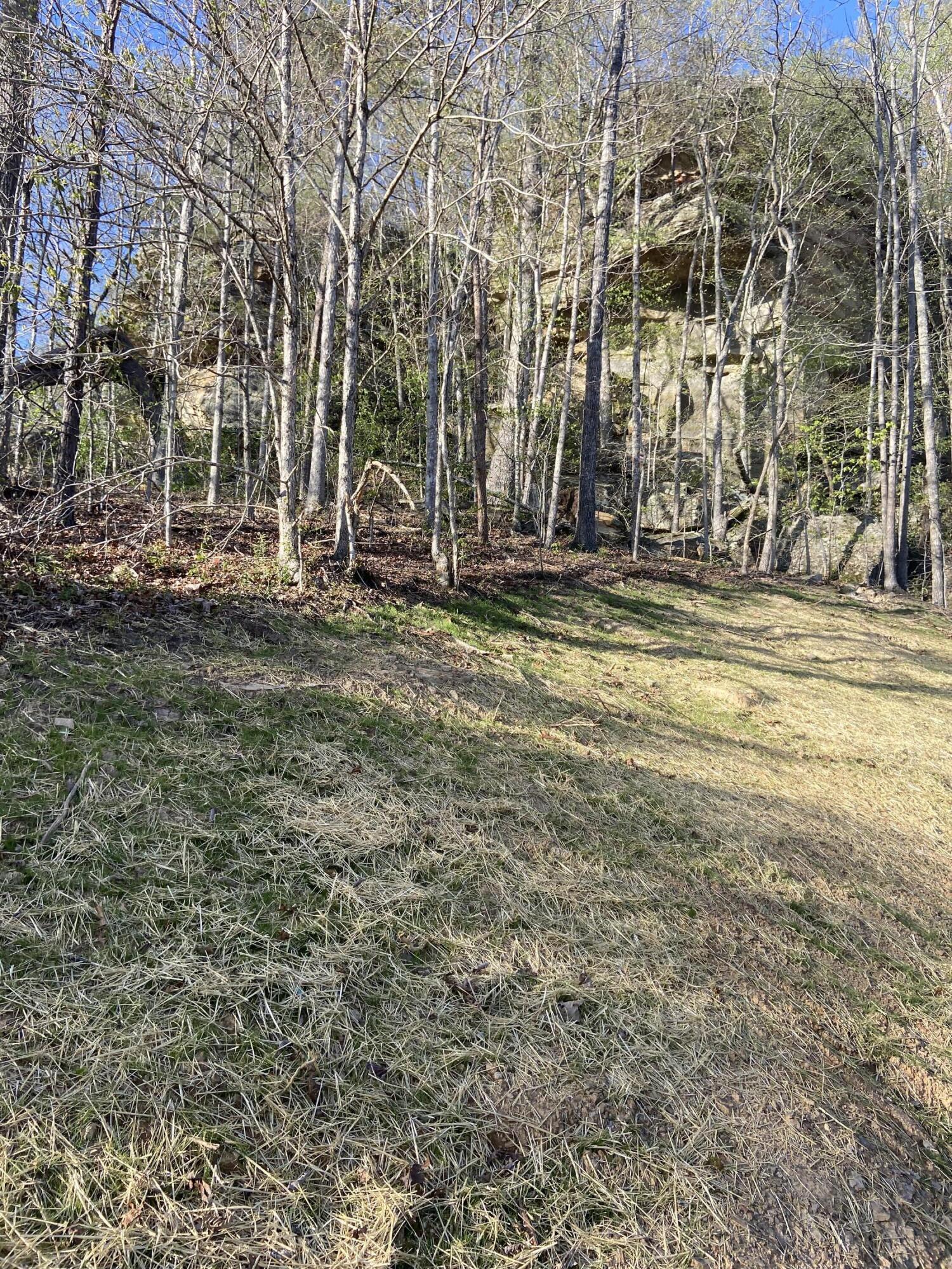 974 Cliffs Edge Road Property Photo 11