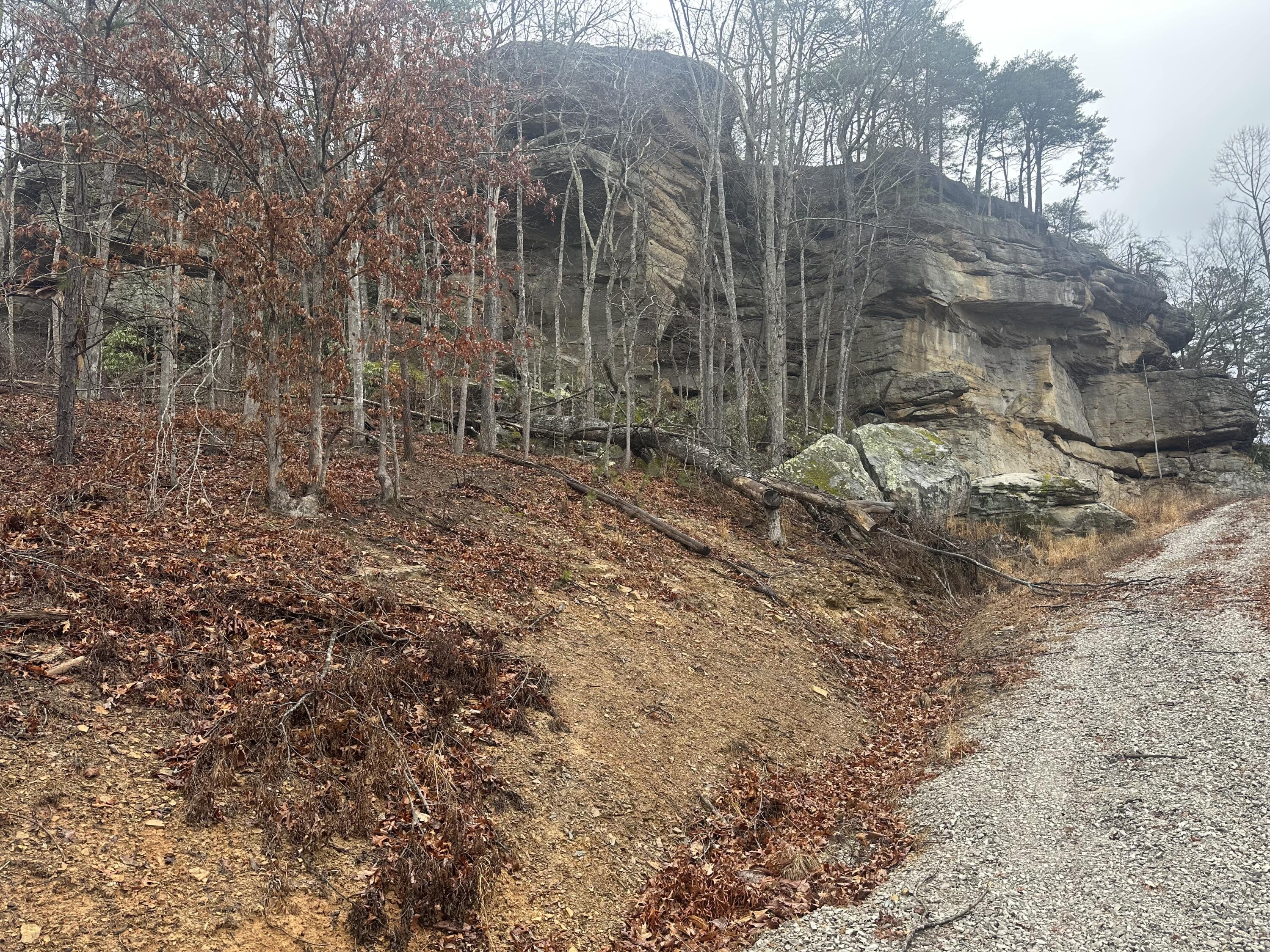 974 Cliffs Edge Road Property Photo 13