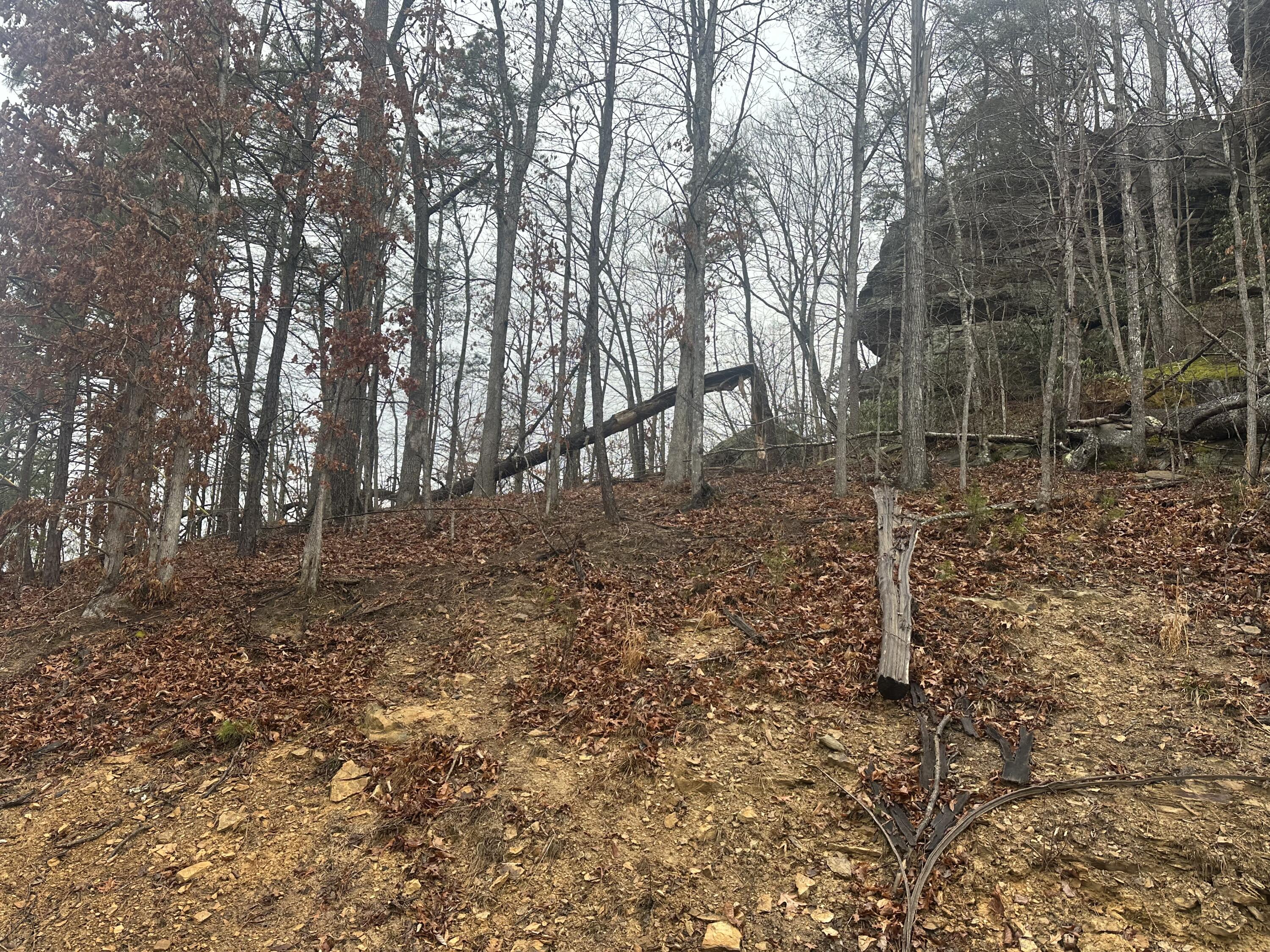 974 Cliffs Edge Road Property Photo 17