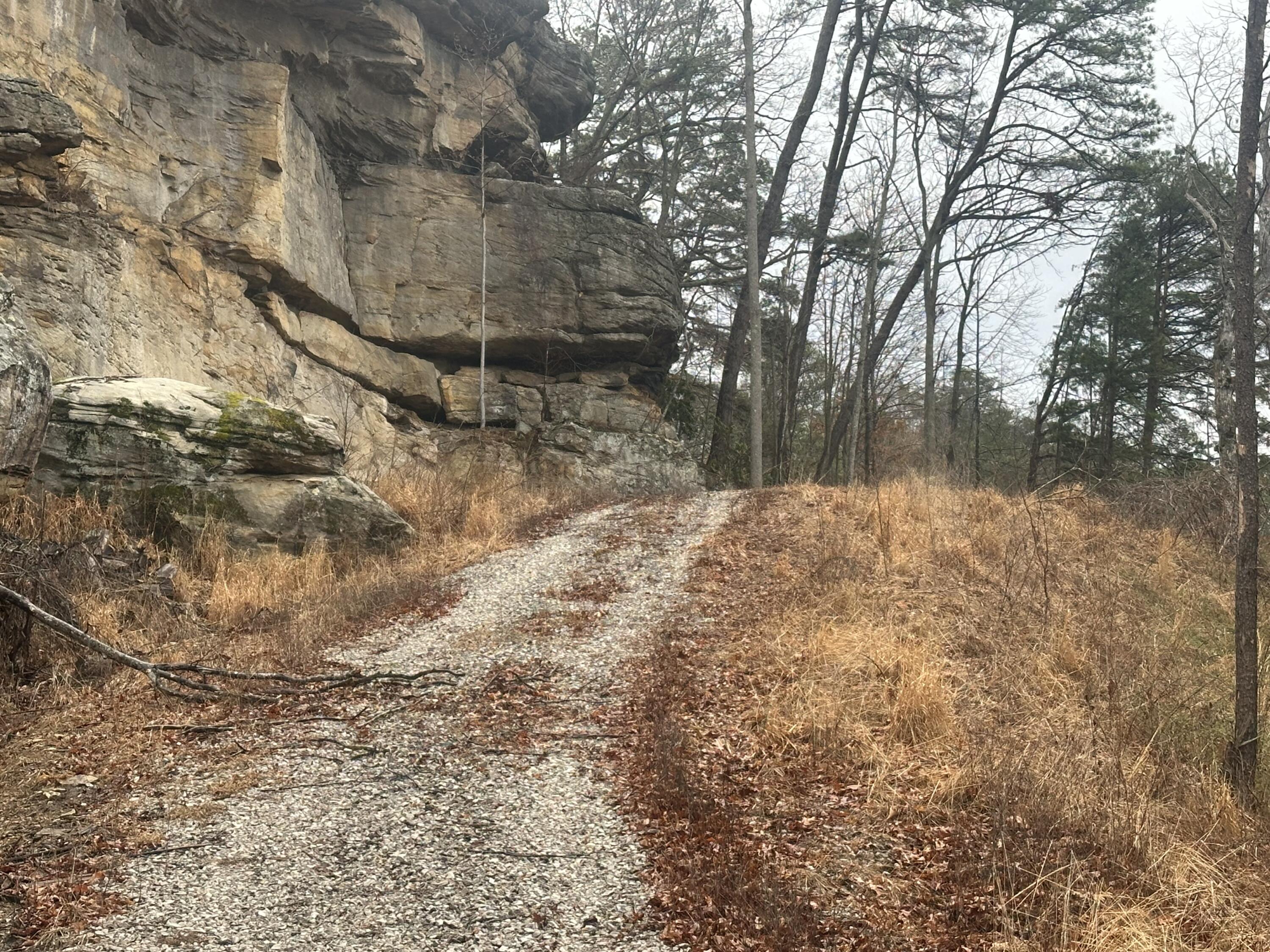 974 Cliffs Edge Road Property Photo 18