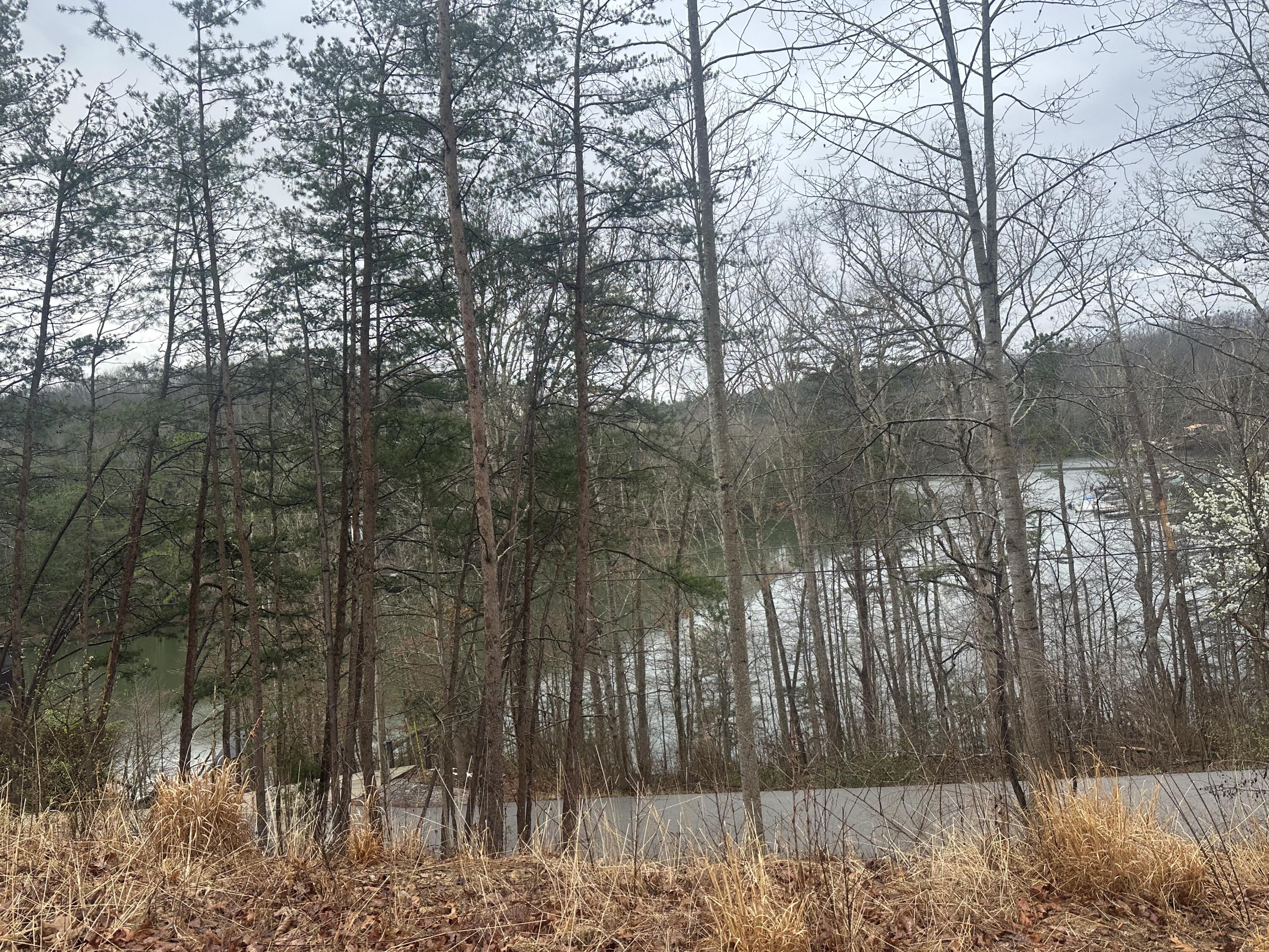 974 Cliffs Edge Road Property Photo 23
