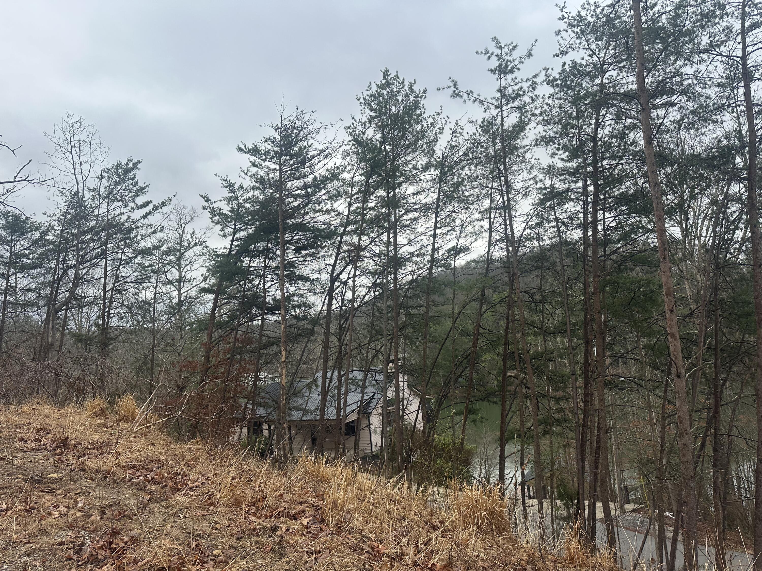 974 Cliffs Edge Road Property Photo 25