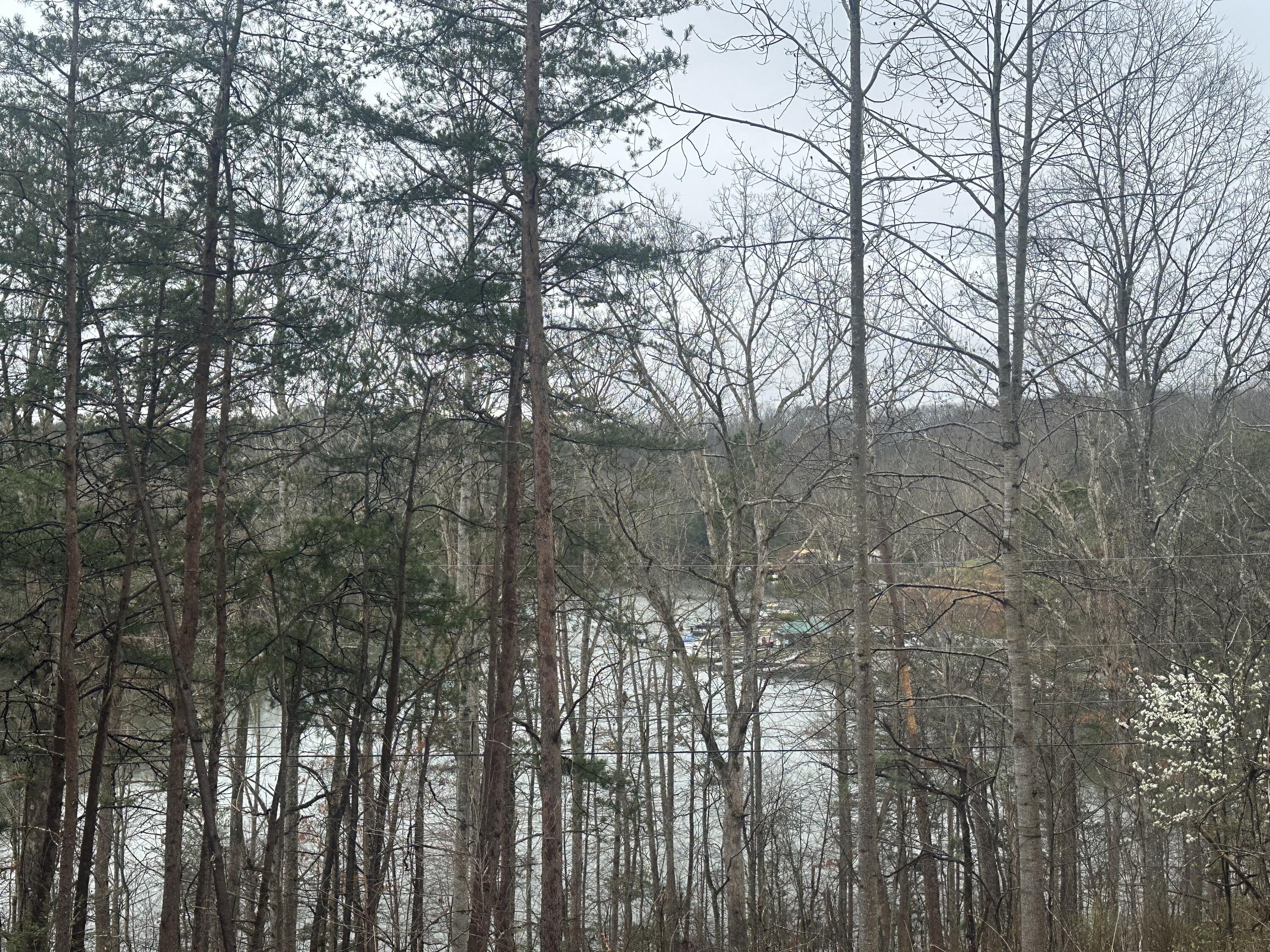 974 Cliffs Edge Road Property Photo 26