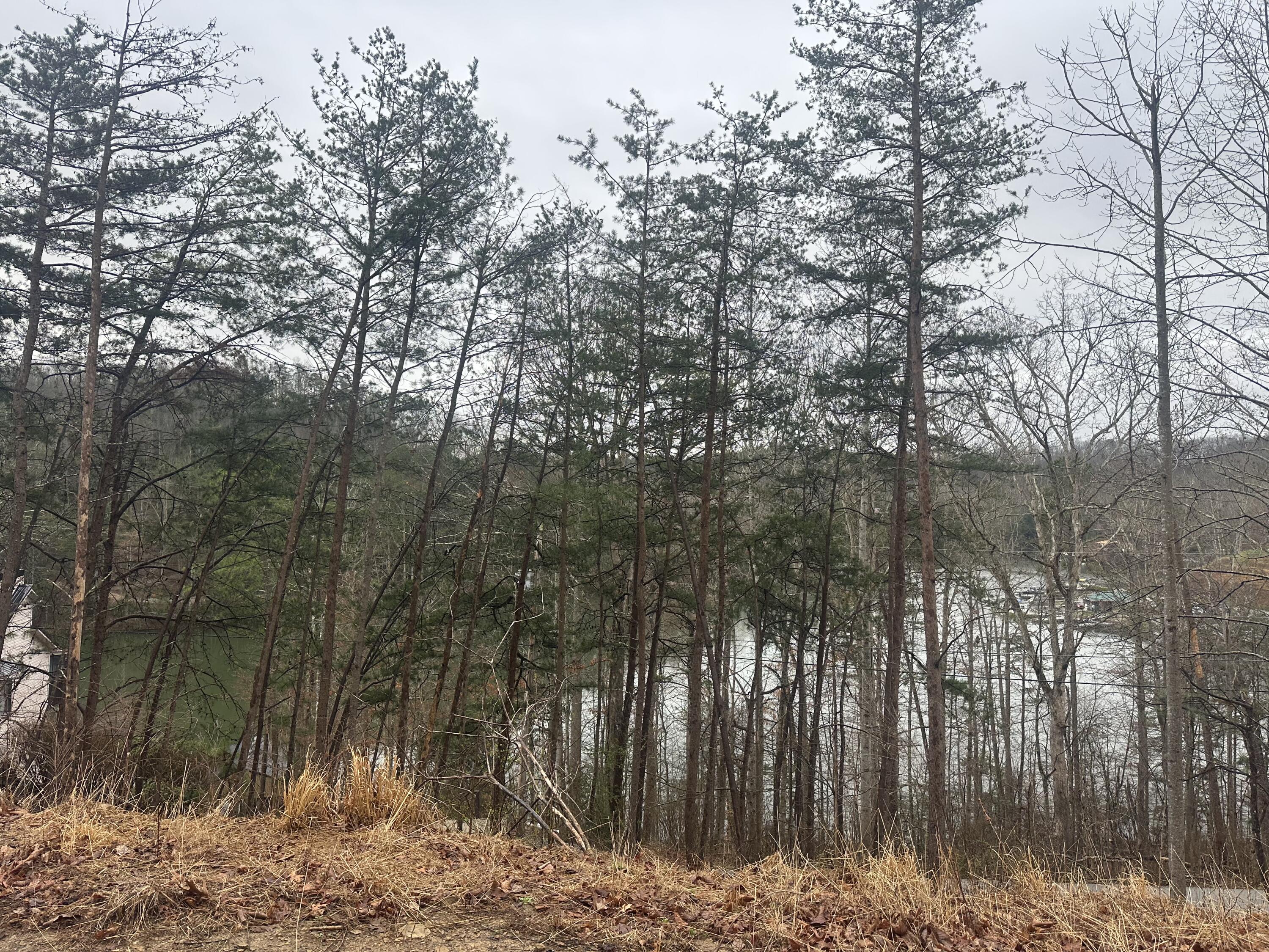 974 Cliffs Edge Road Property Photo 27