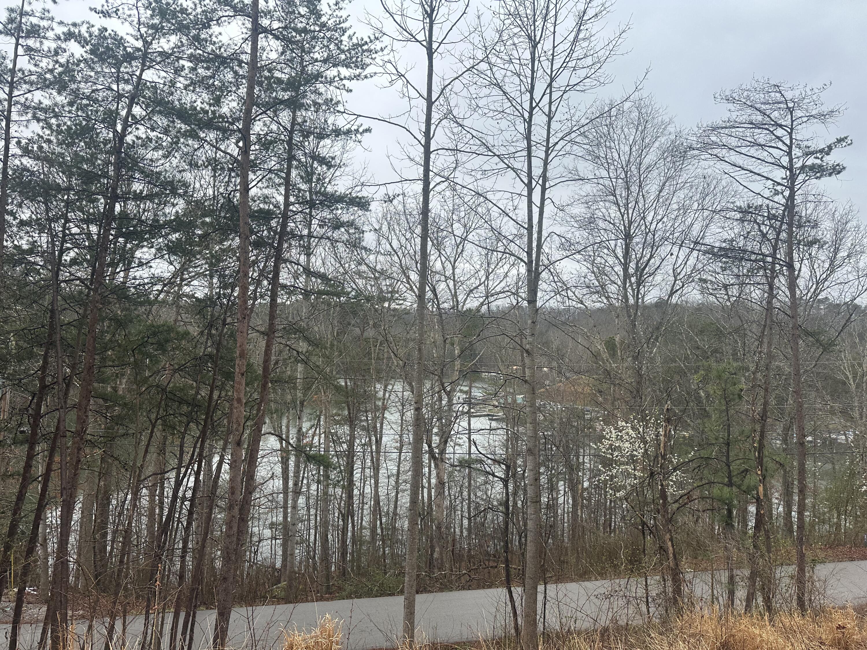 974 Cliffs Edge Road Property Photo 30