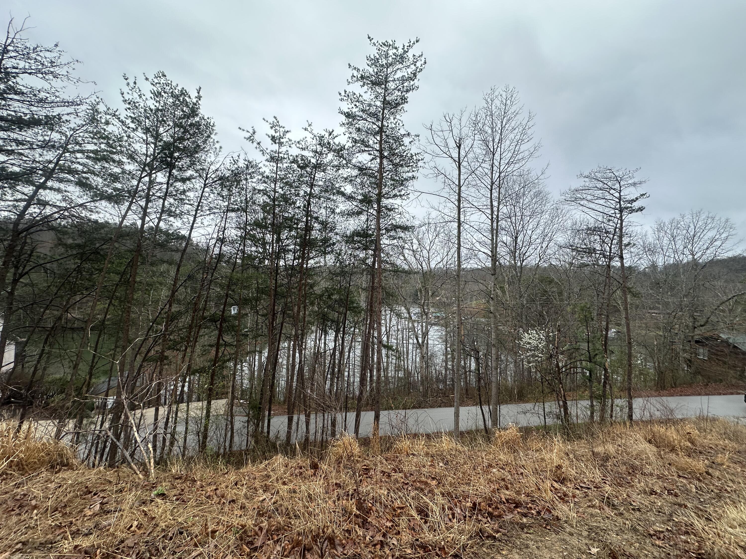 974 Cliffs Edge Road Property Photo 35