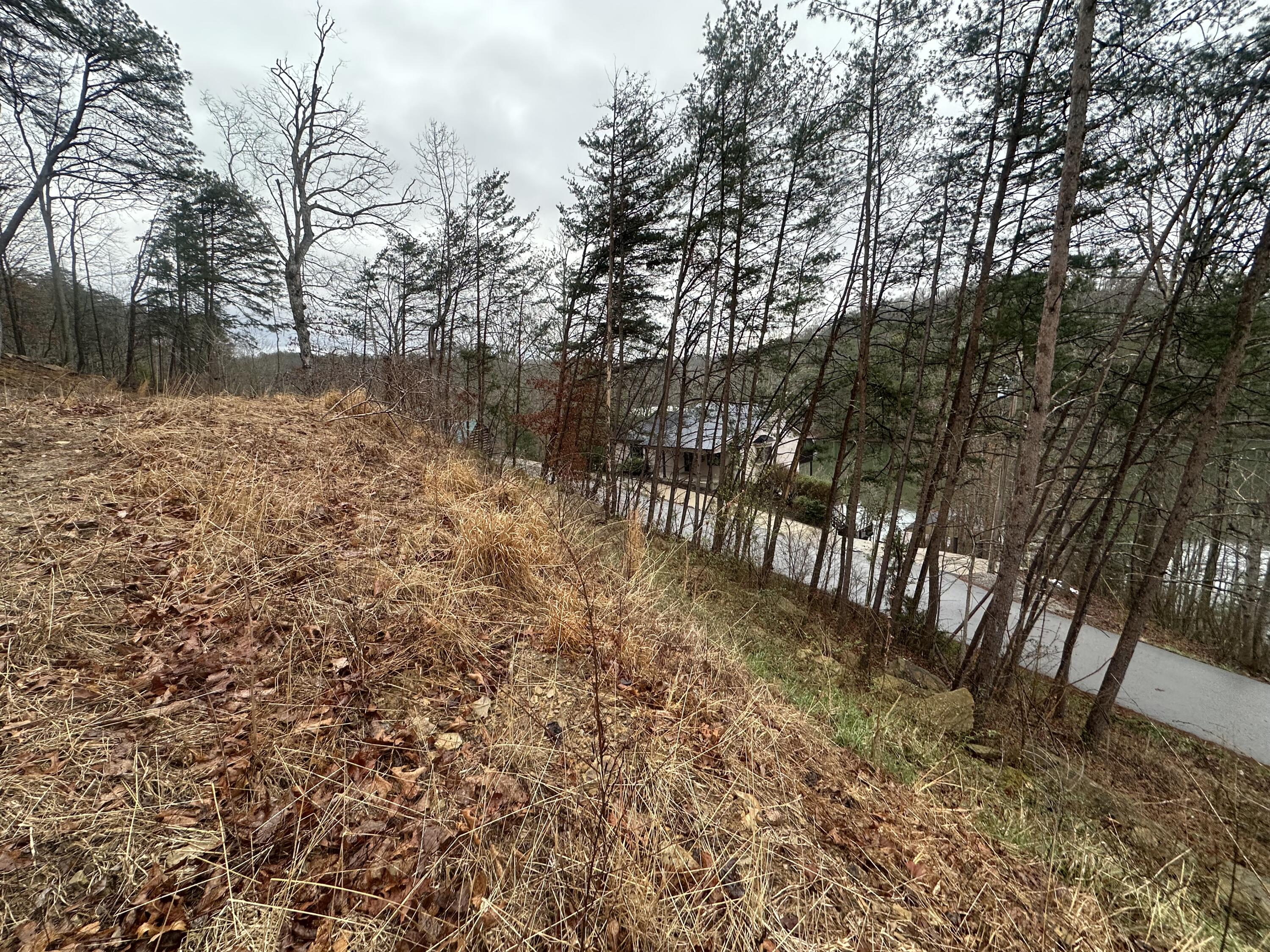 974 Cliffs Edge Road Property Photo 36