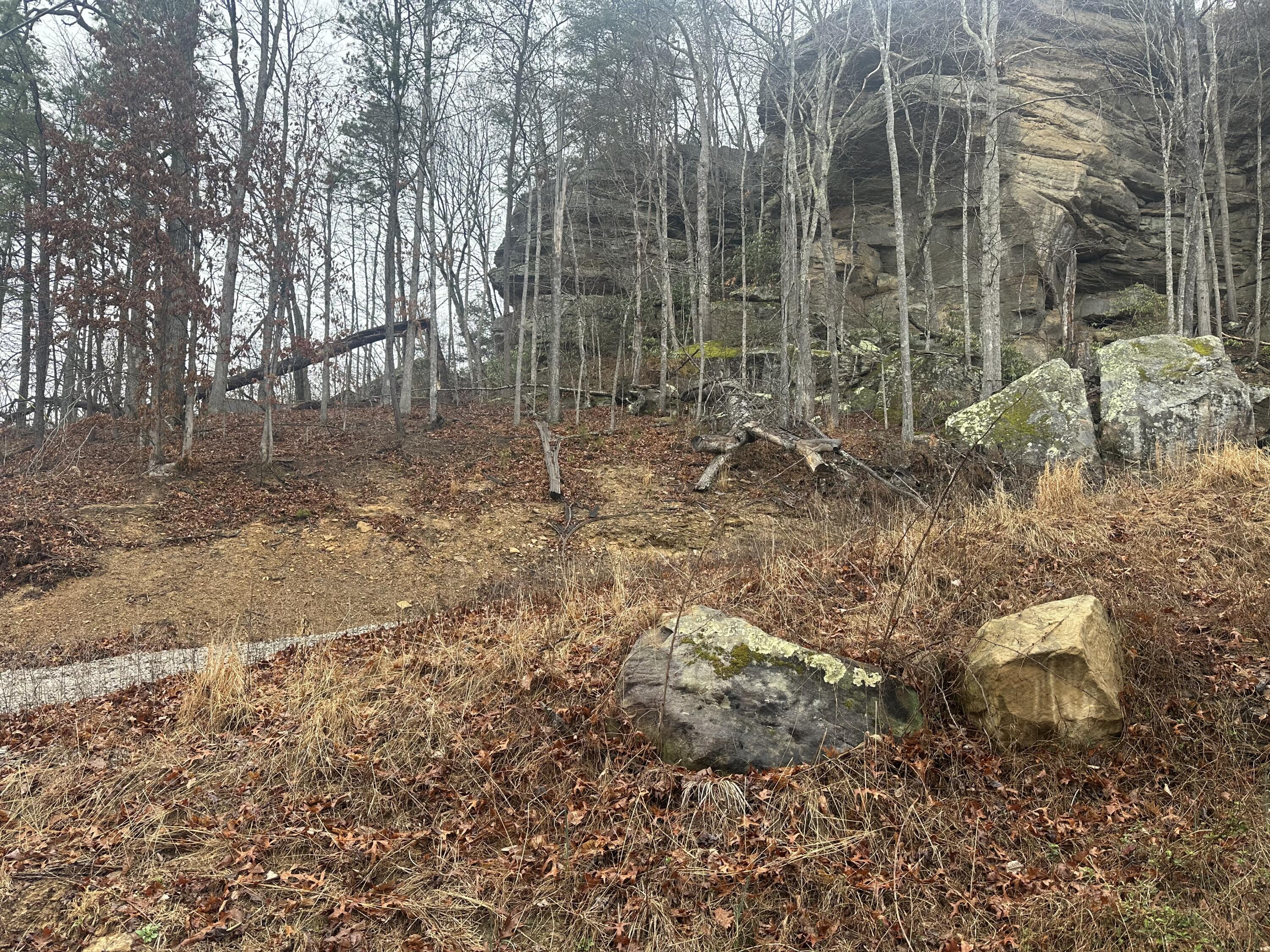 974 Cliffs Edge Road Property Photo 41