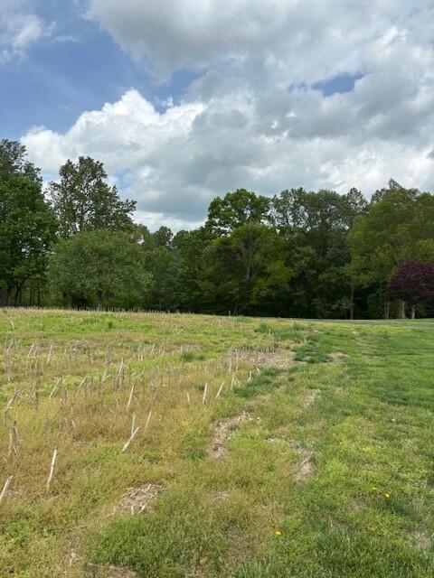 1 Nelson Mill Road Property Photo 23