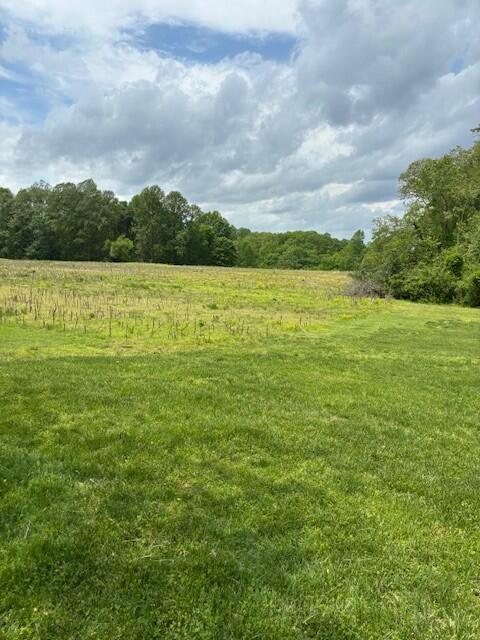 3 Nelson Mill Road Property Photo 3