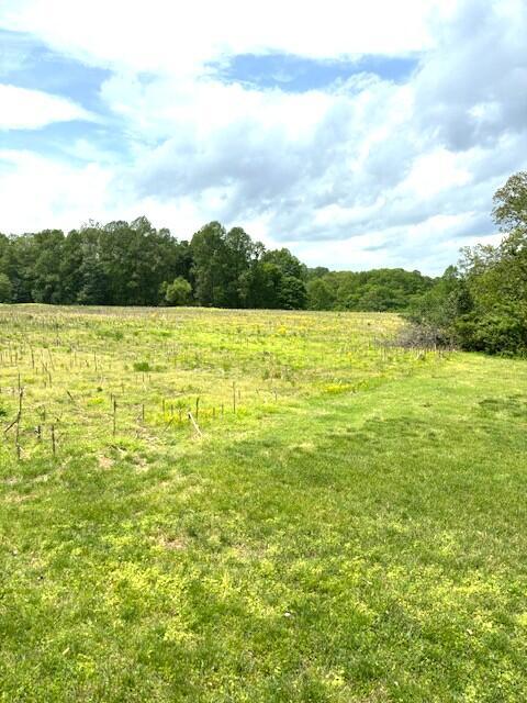3 Nelson Mill Road Property Photo 5