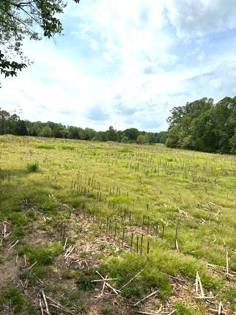 3 Nelson Mill Road Property Photo 6
