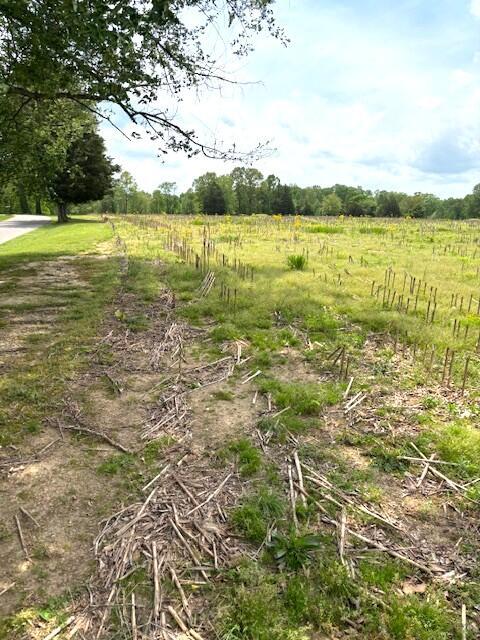 3 Nelson Mill Road Property Photo 7