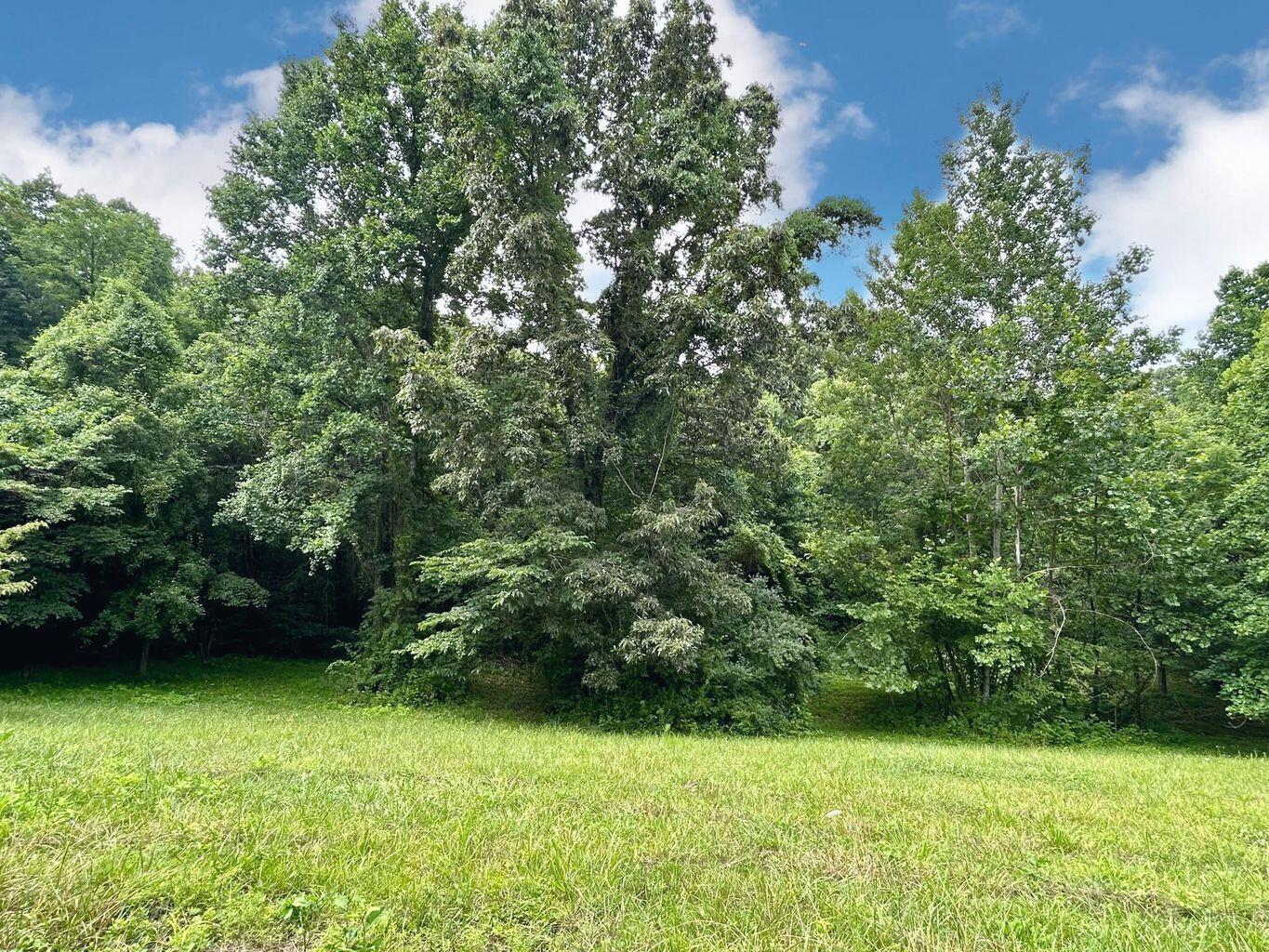 700 Beechwood Drive Property Photo 4