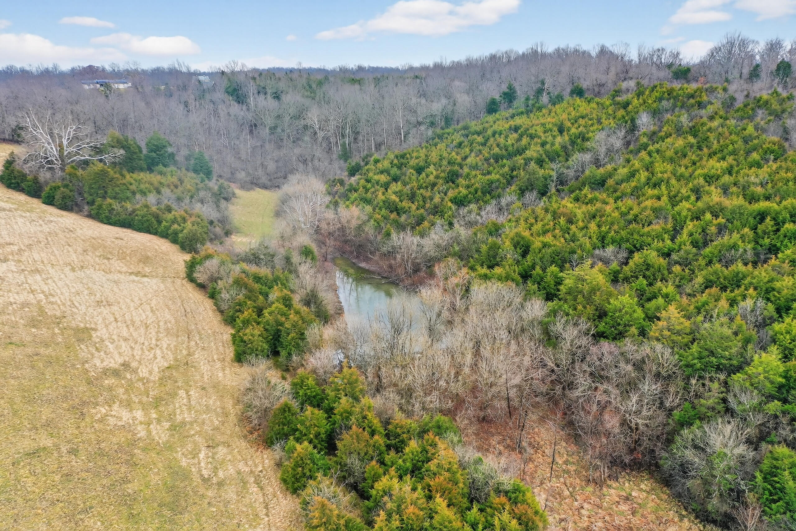 1290 Johnson Road Property Photo 46