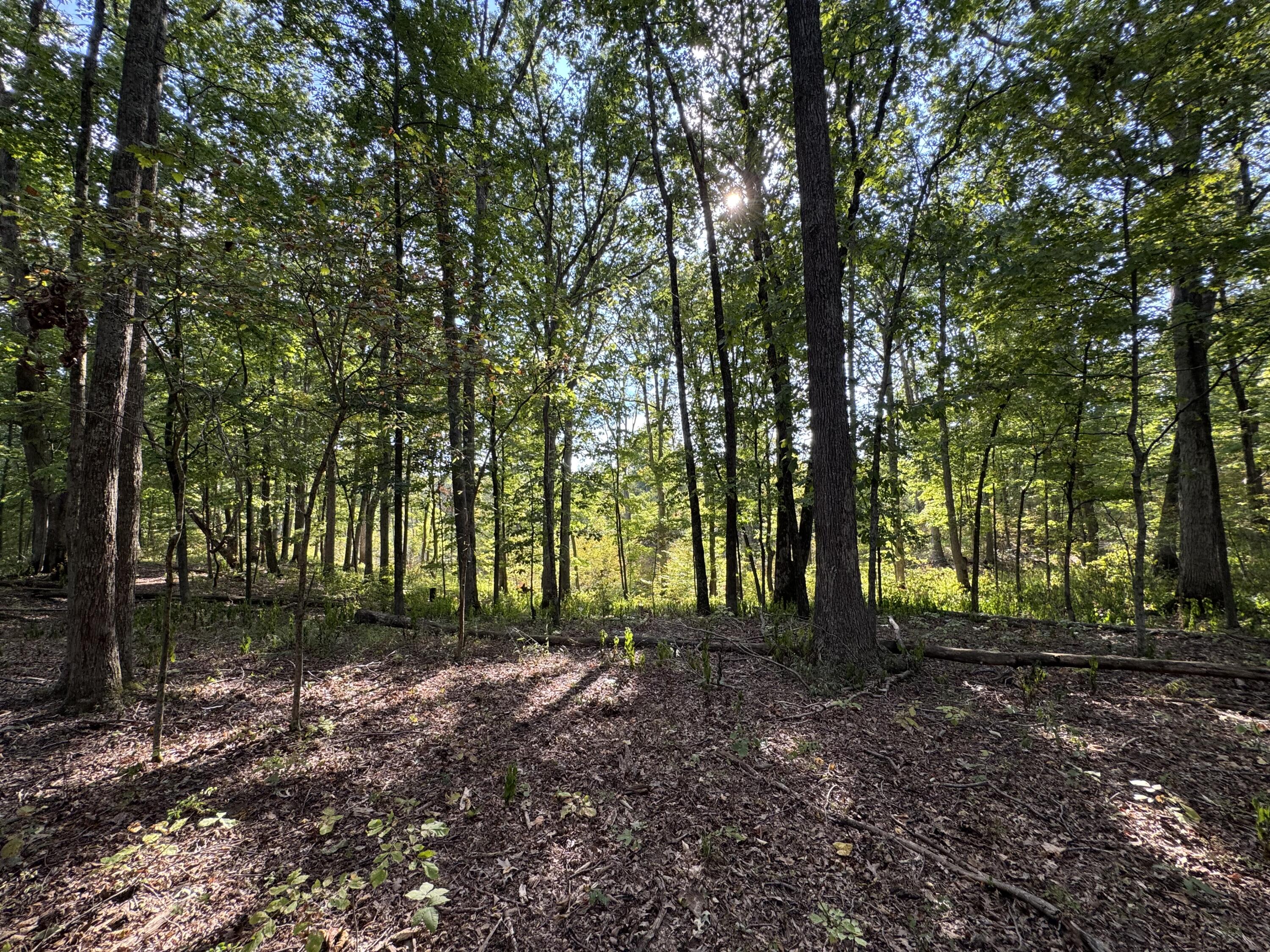 Graefenburg Rd Fox Hollow Graefenburg Rd Road Property Photo 9