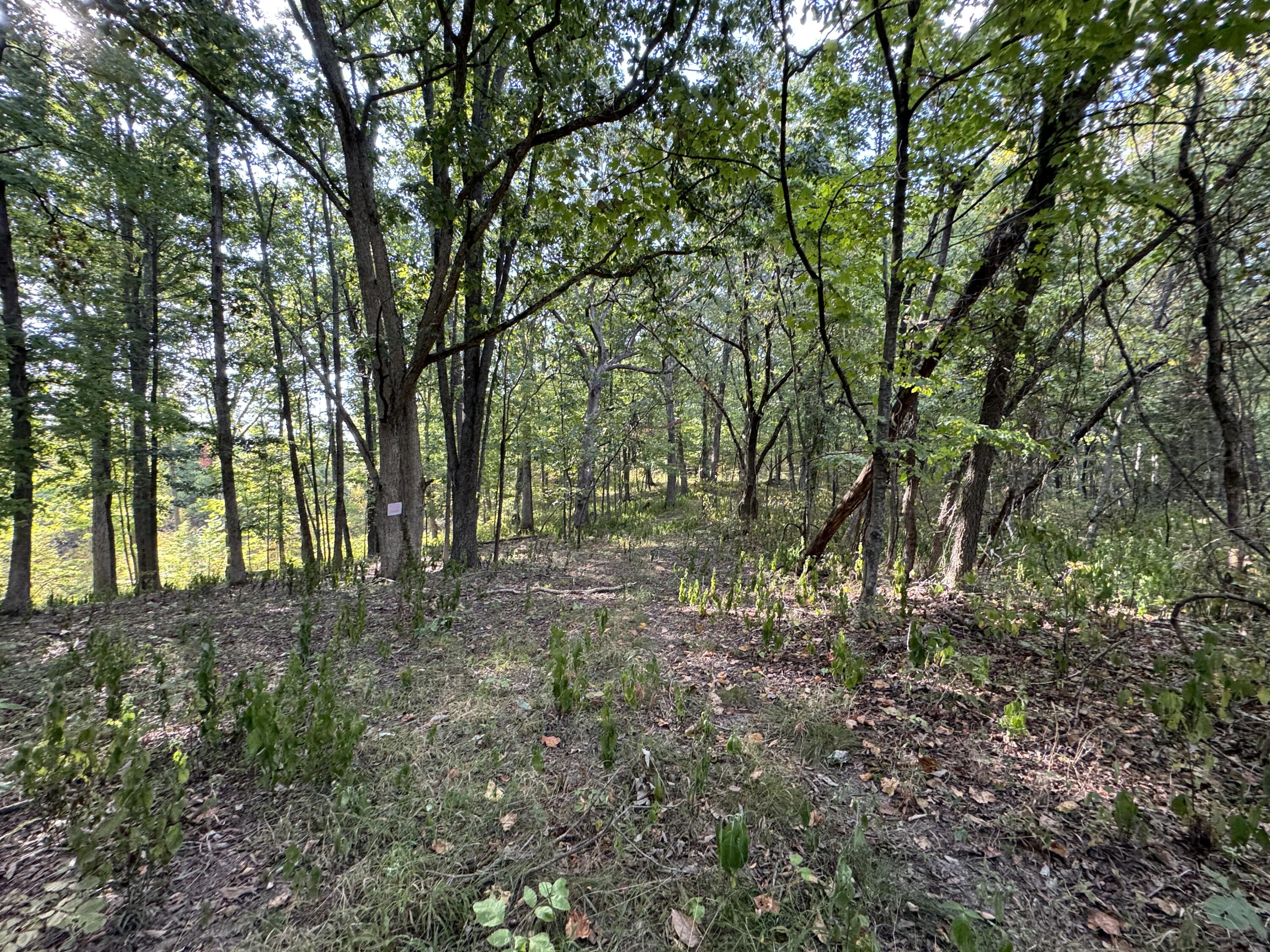 Graefenburg Rd Fox Hollow Graefenburg Rd Road Property Photo 12