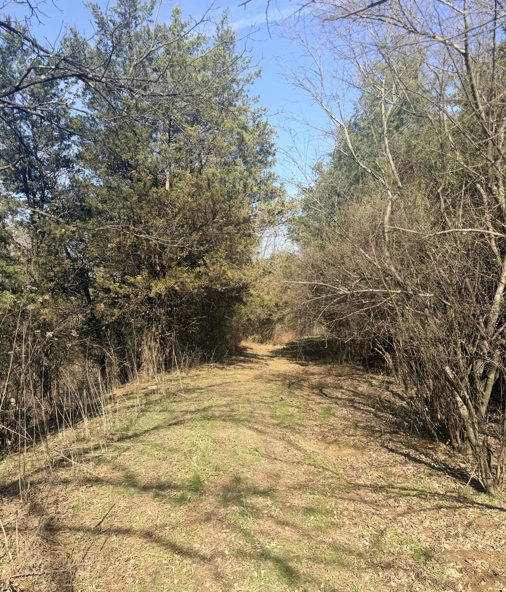 Graefenburg Rd Fox Hollow Graefenburg Rd Road Property Photo 41