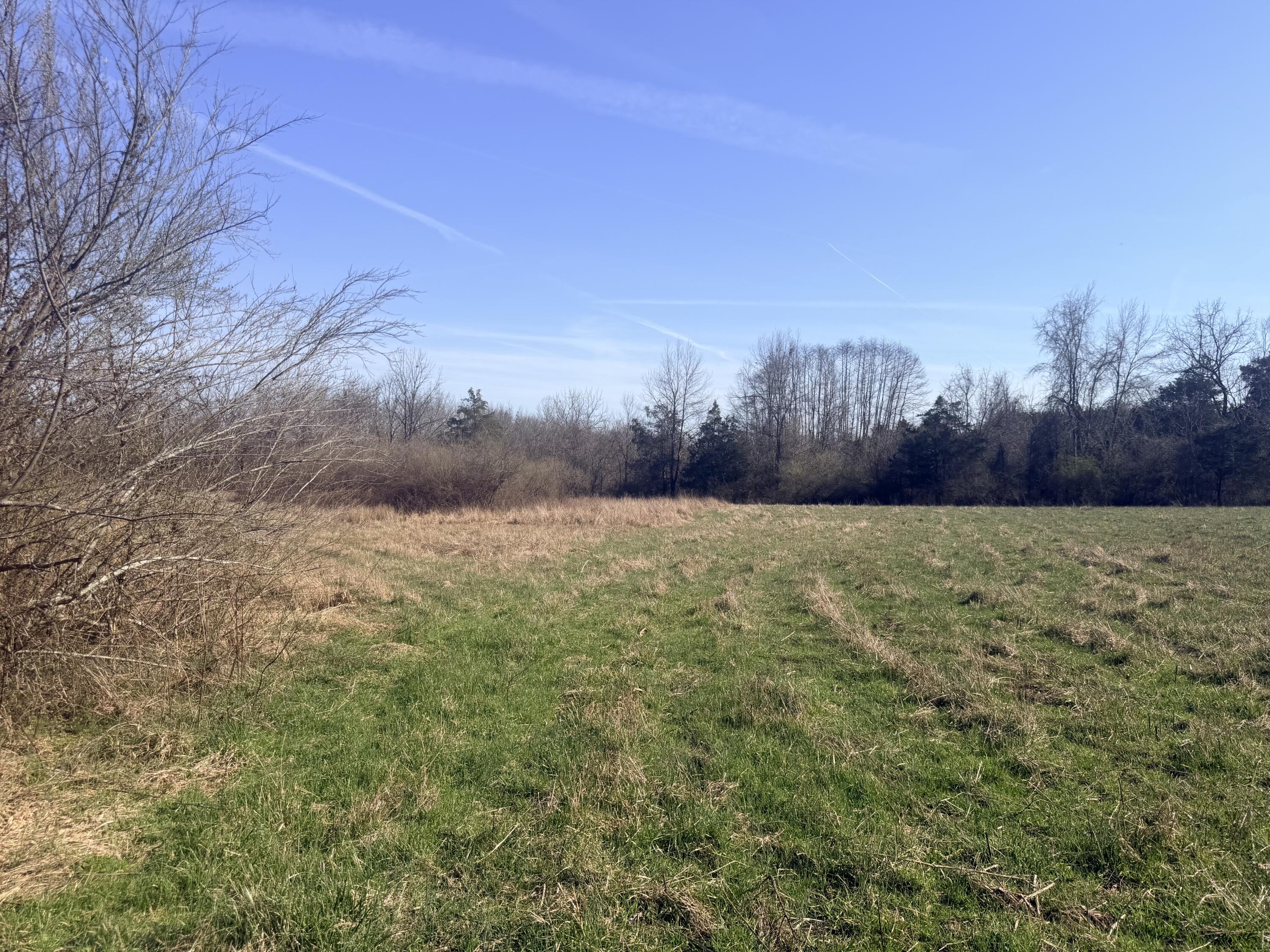 Graefenburg Rd Fox Hollow Graefenburg Rd Road Property Photo 43