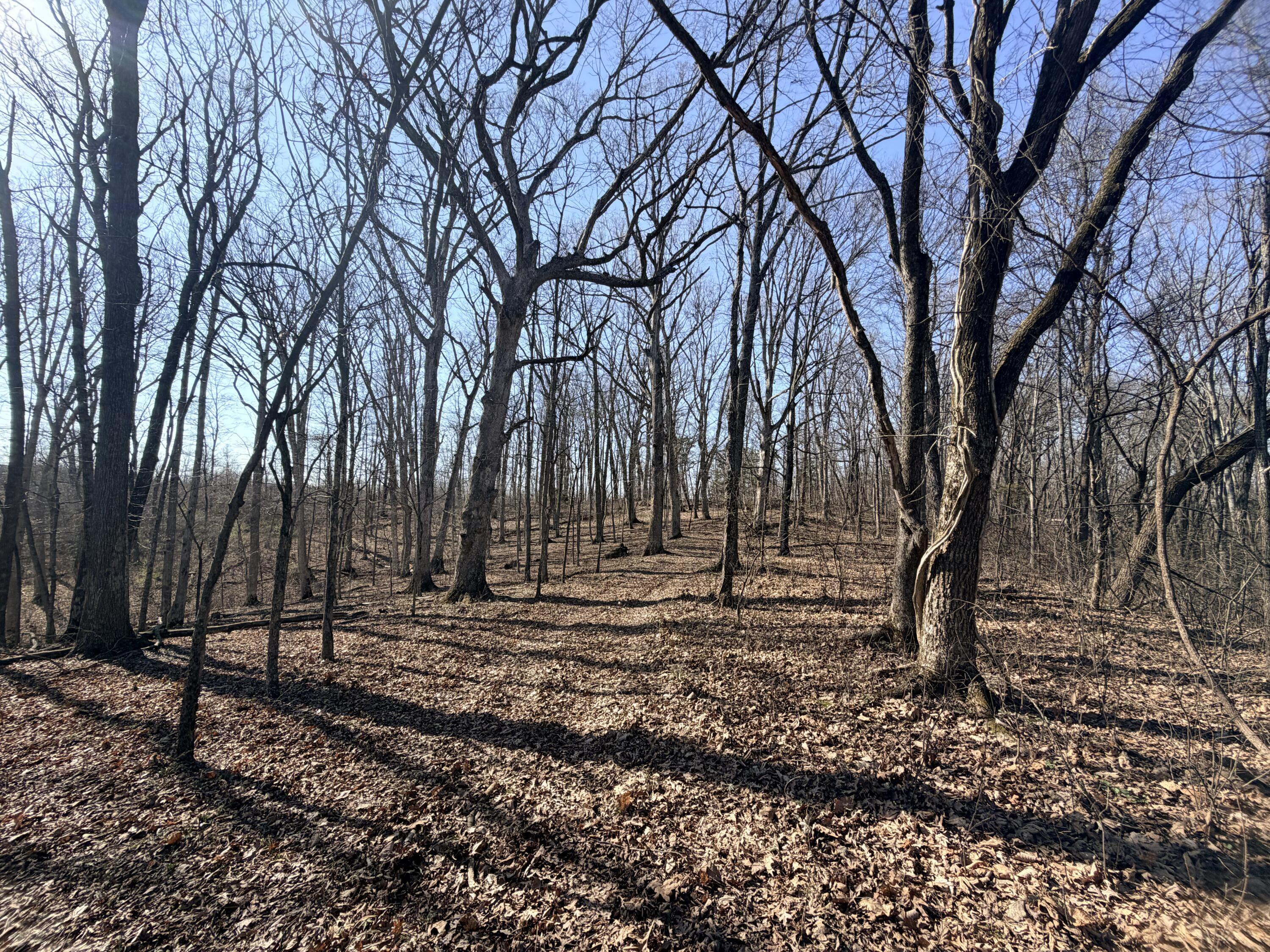 Graefenburg Rd Fox Hollow Graefenburg Rd Road Property Photo 49