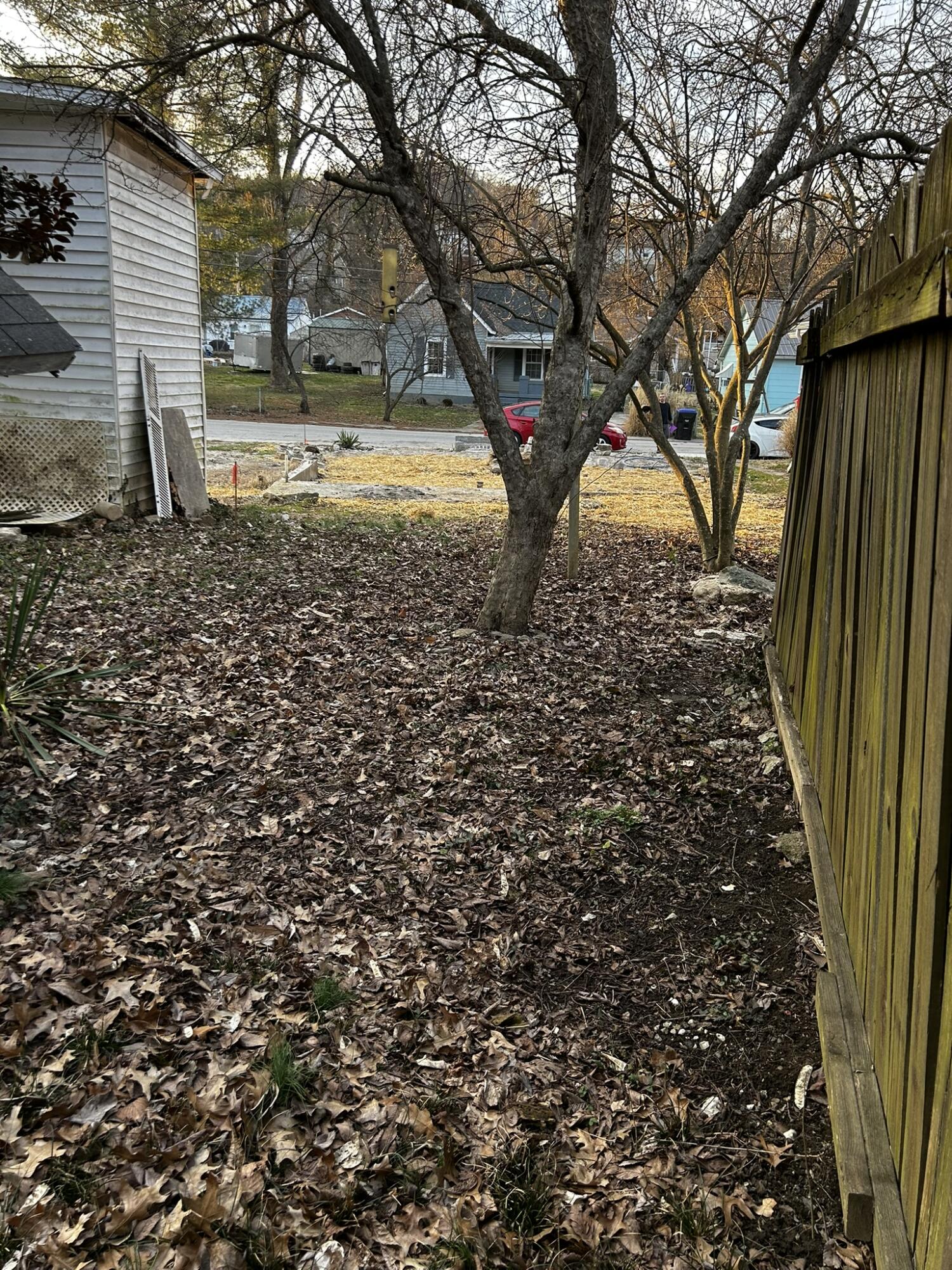 717 Wilson Street Property Photo 4