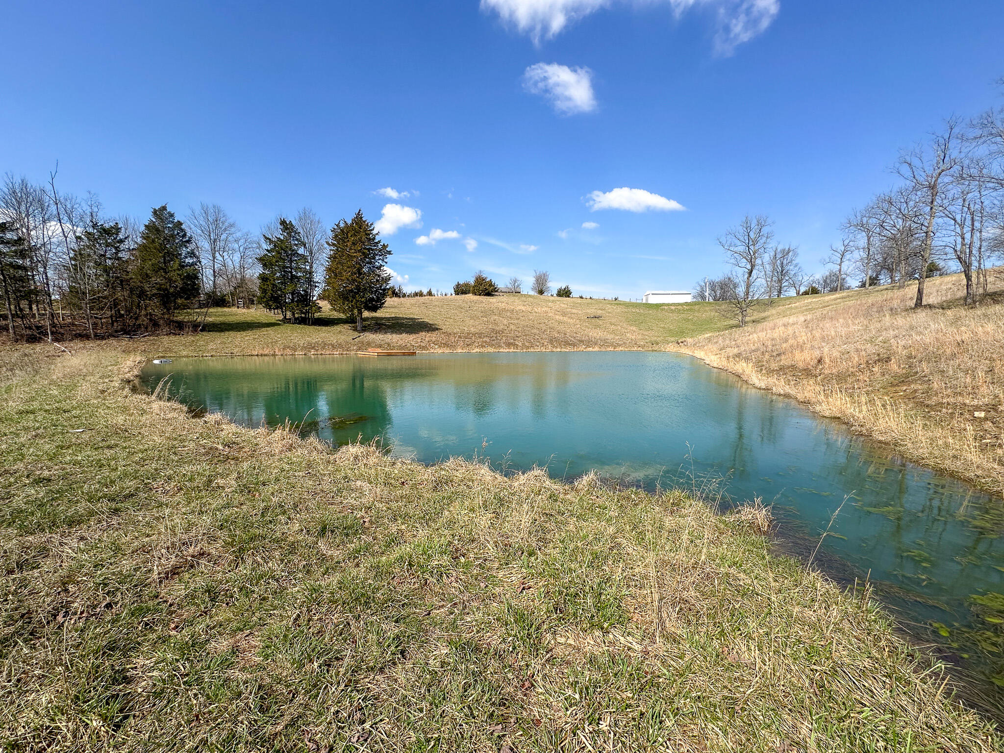 58 Beckett Road Property Photo 22