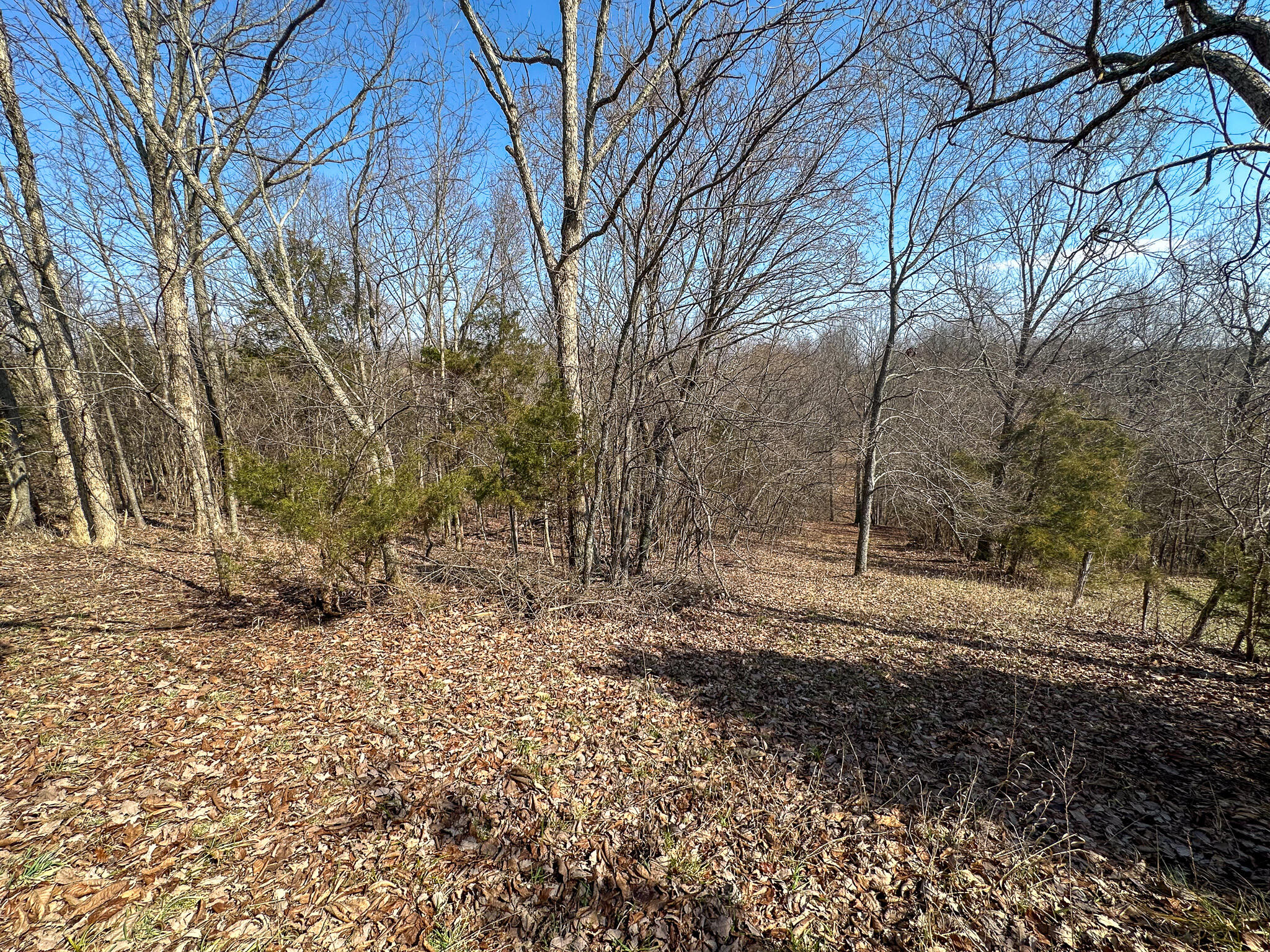 58 Beckett Road Property Photo 23