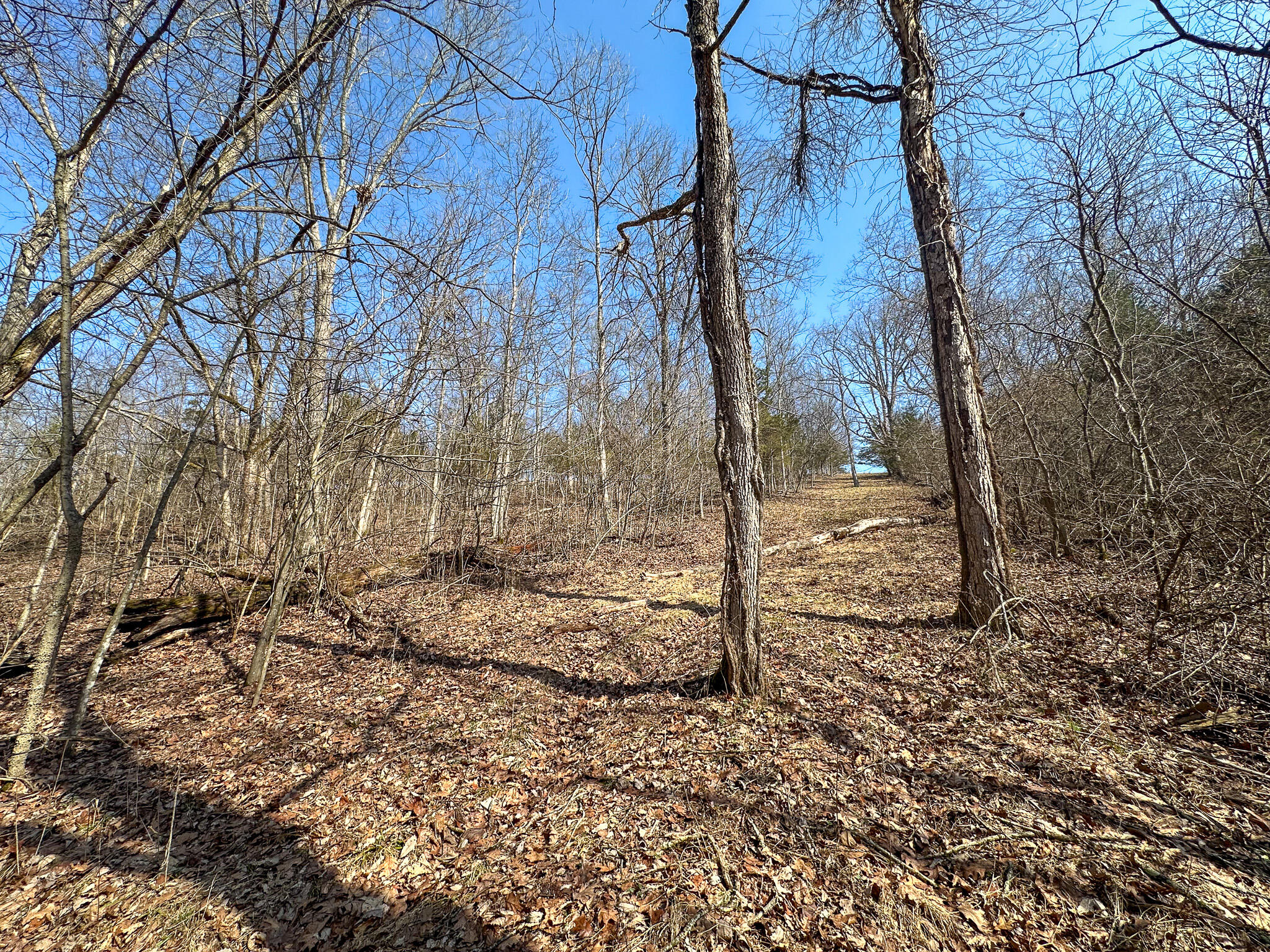 58 Beckett Road Property Photo 25