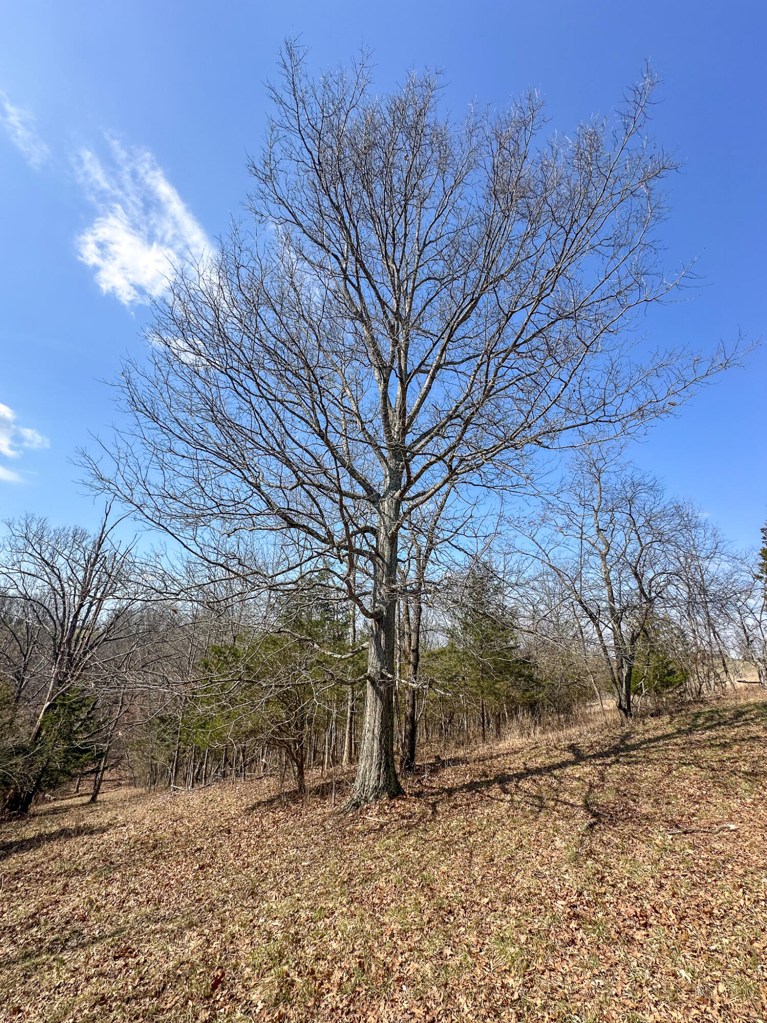 58 Beckett Road Property Photo 26