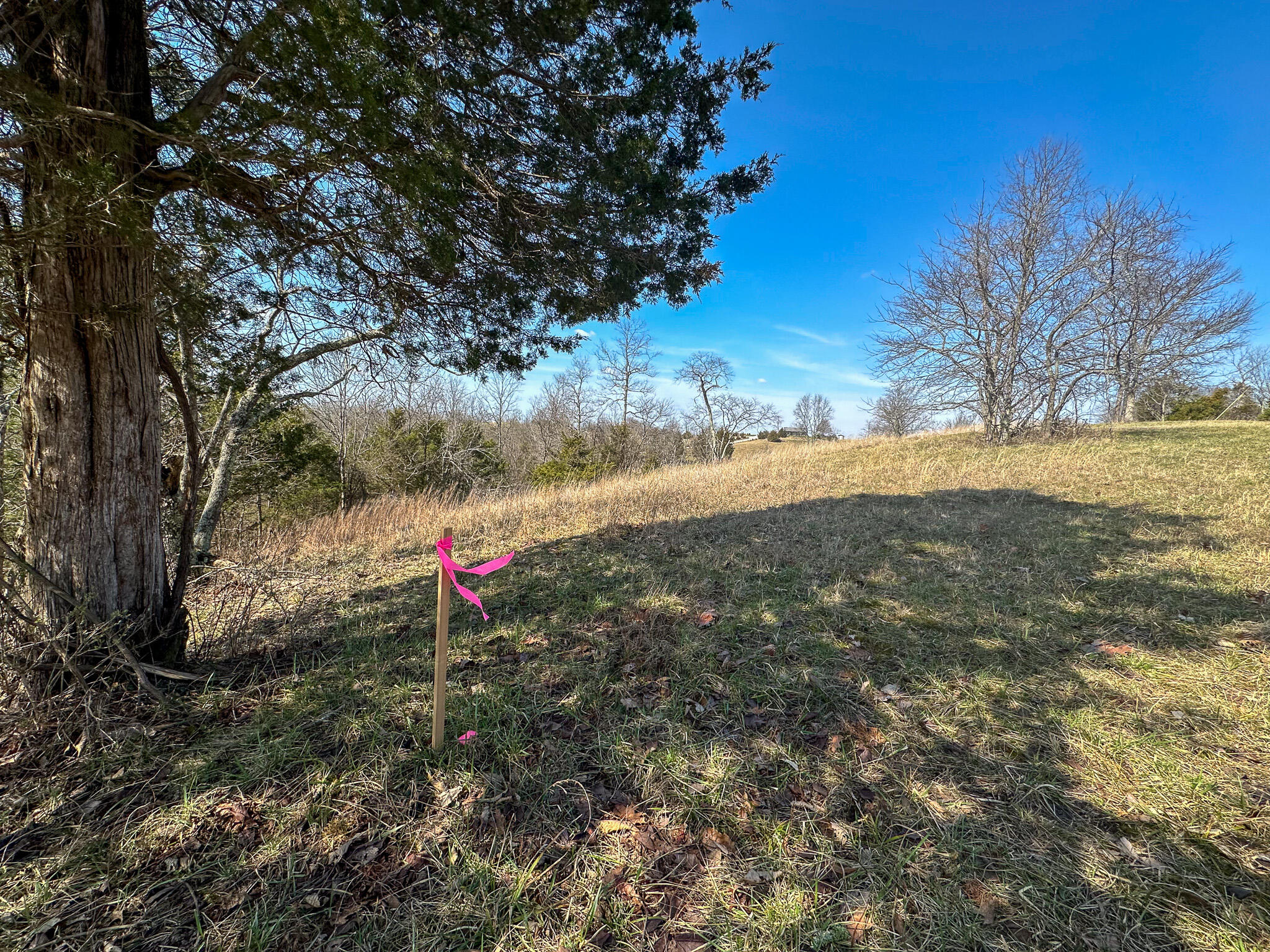 58 Beckett Road Property Photo 27